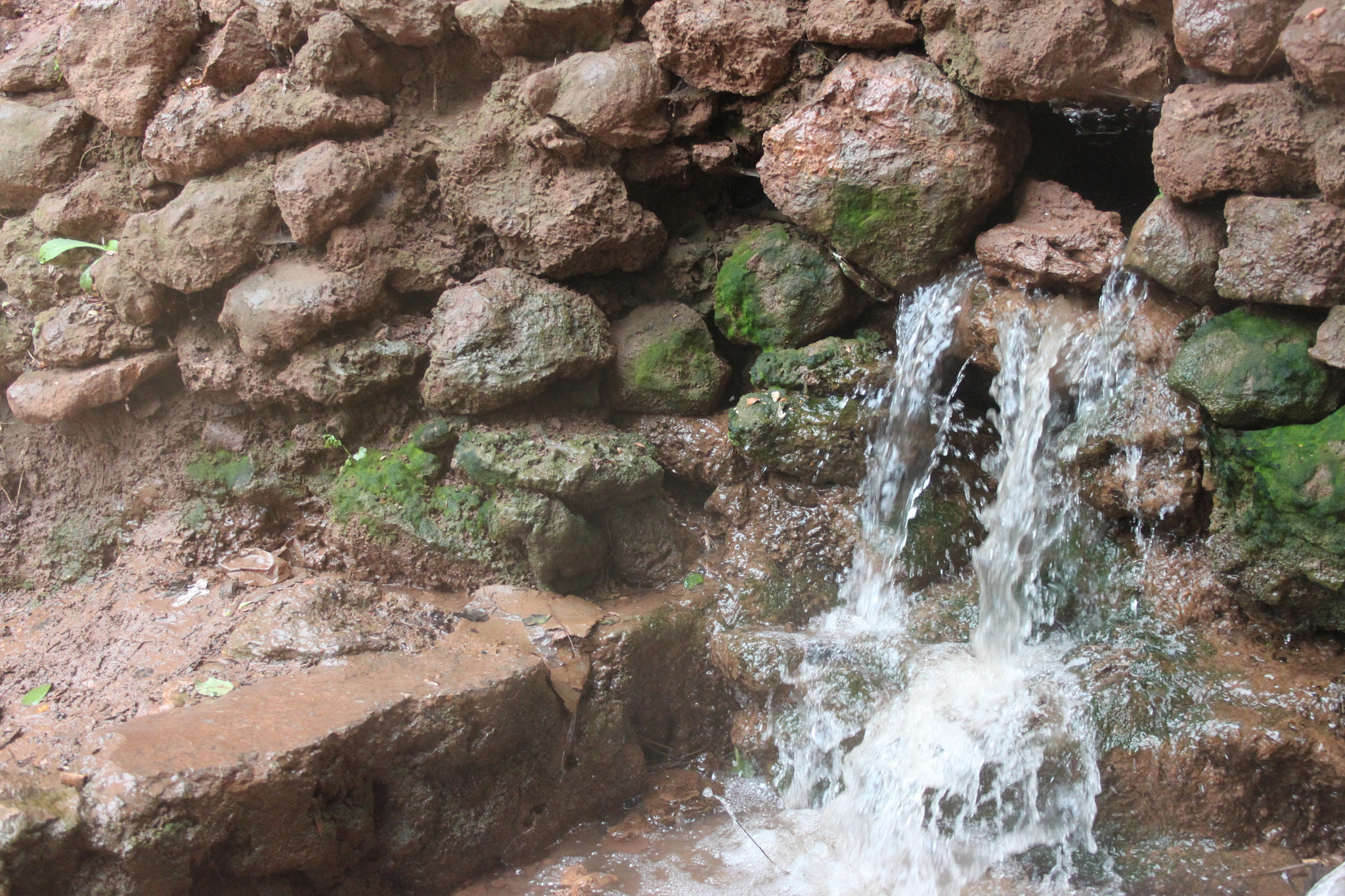 Canon EF-S 18-55mm F3.5-5.6 II sample photo. () photography