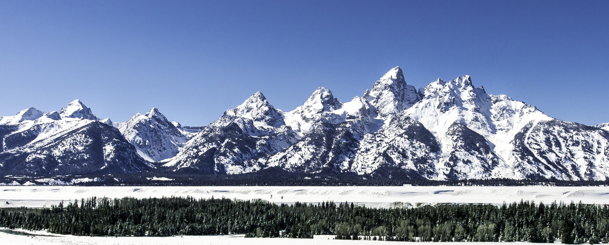 Nikon AF-S Nikkor 14-24mm F2.8G ED sample photo. Grand tetons of wyoming photography