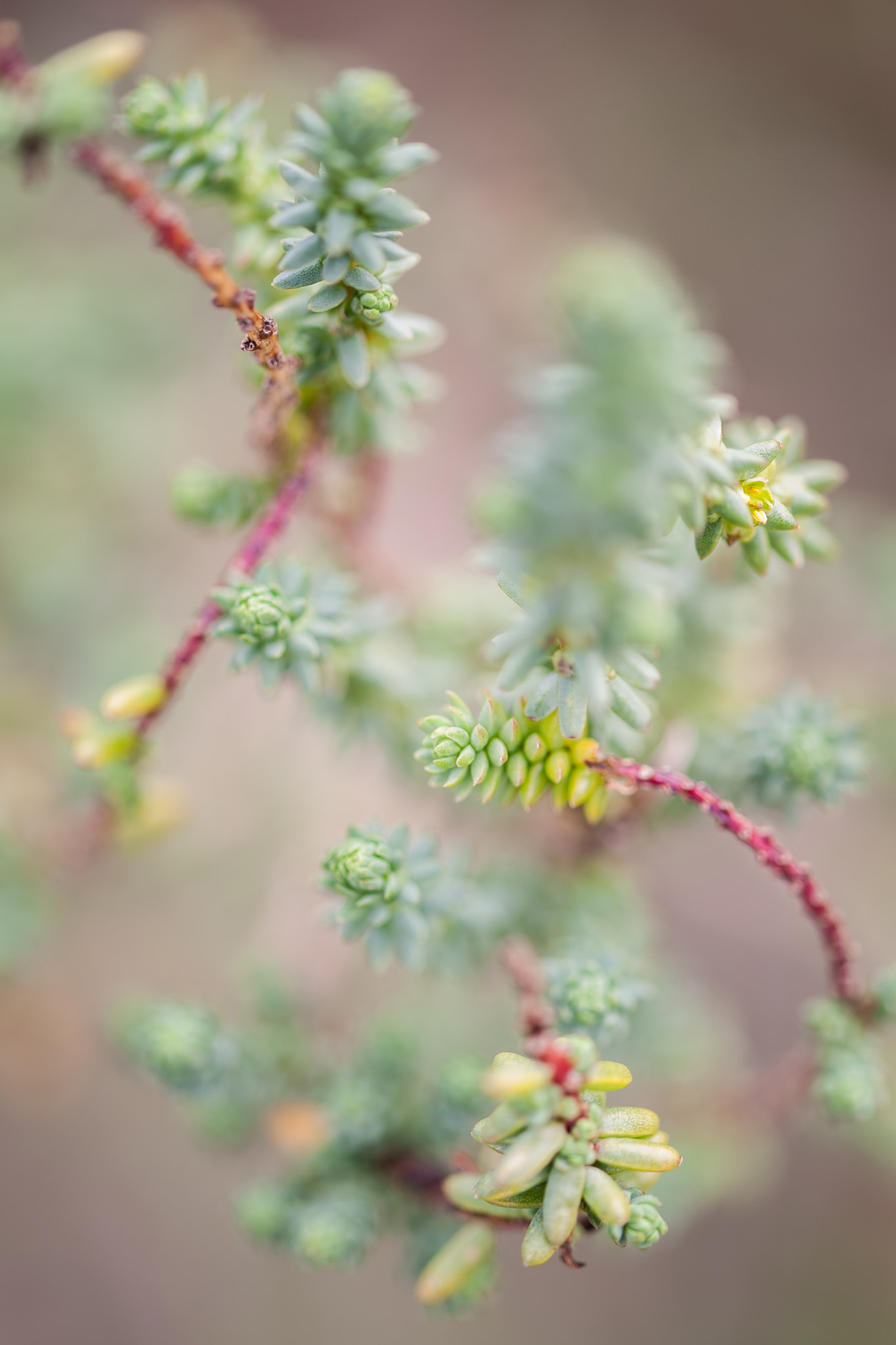 Sigma 105mm F2.8 EX DG OS HSM sample photo. Soude maritime photography