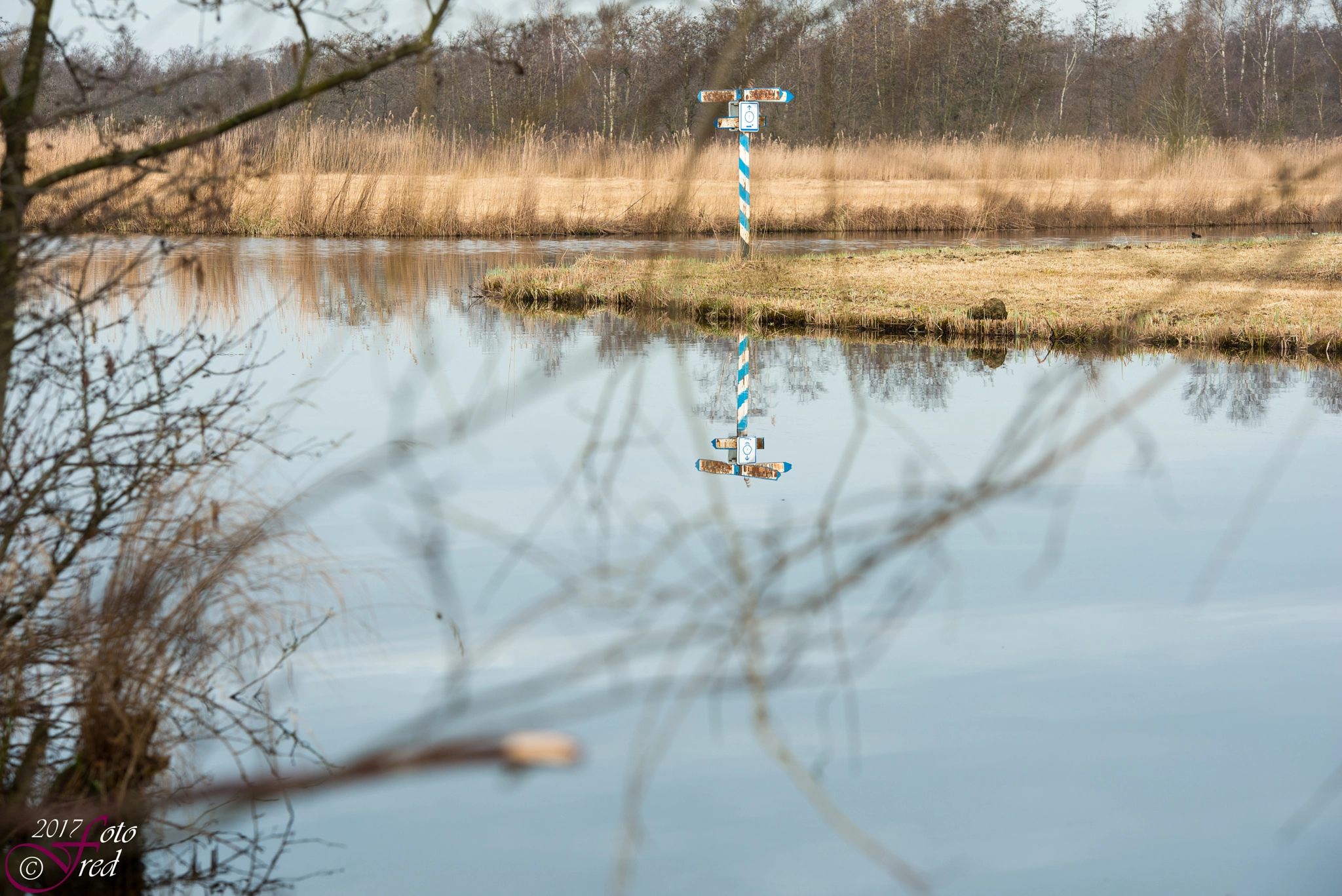 Sigma 70-200mm F2.8 EX DG OS HSM sample photo. Crossing photography