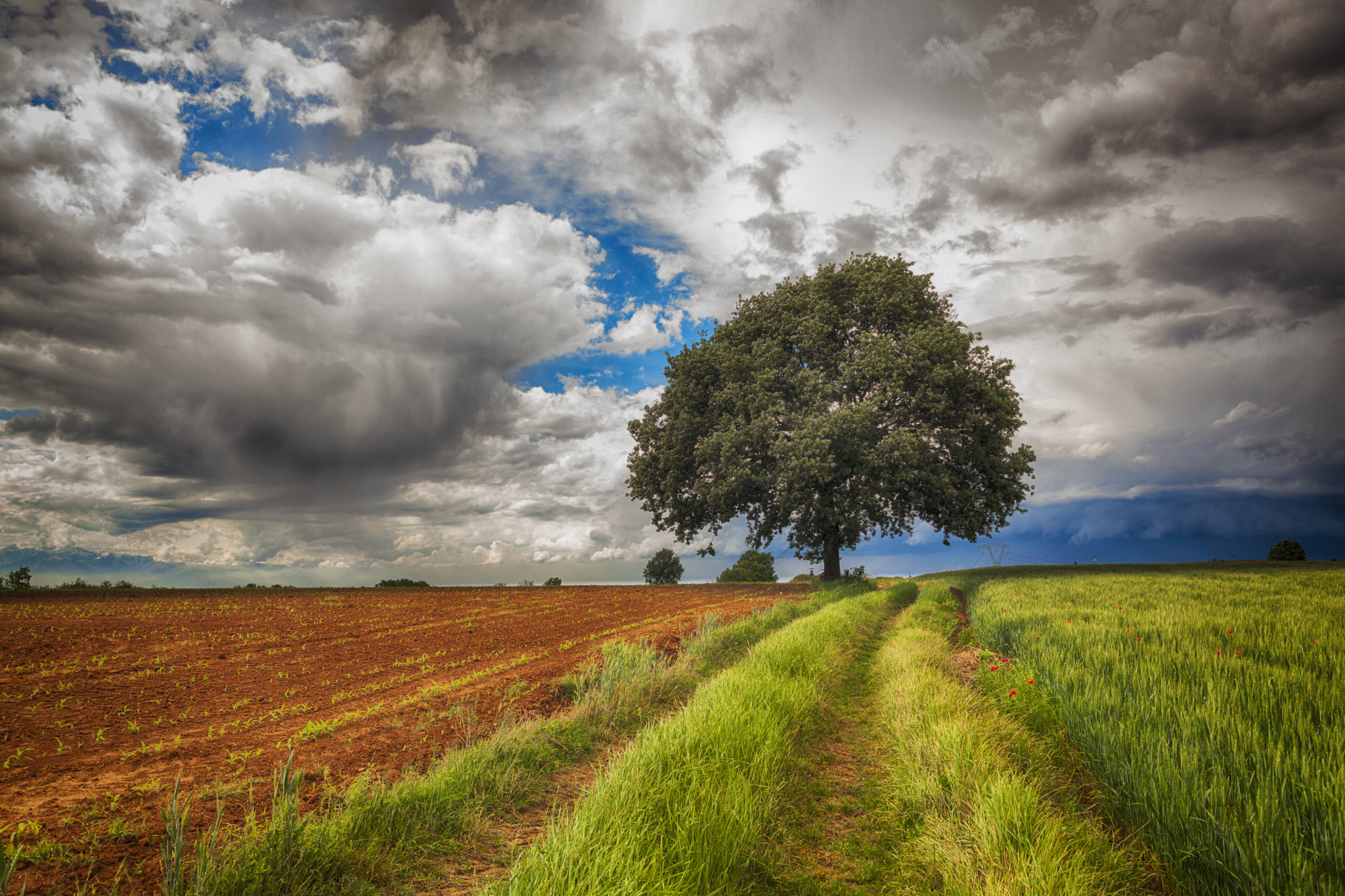 Canon EOS 5D Mark II + EF28-70mm f/2.8L USM sample photo. Panorama in hdr photography