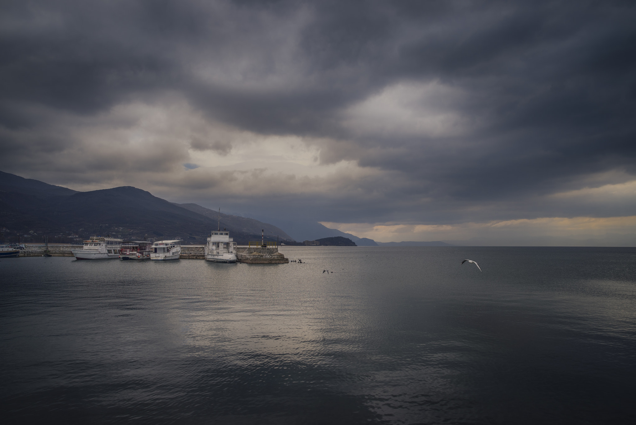 Pentax K-1 + Sigma sample photo. Quiet freedom photography