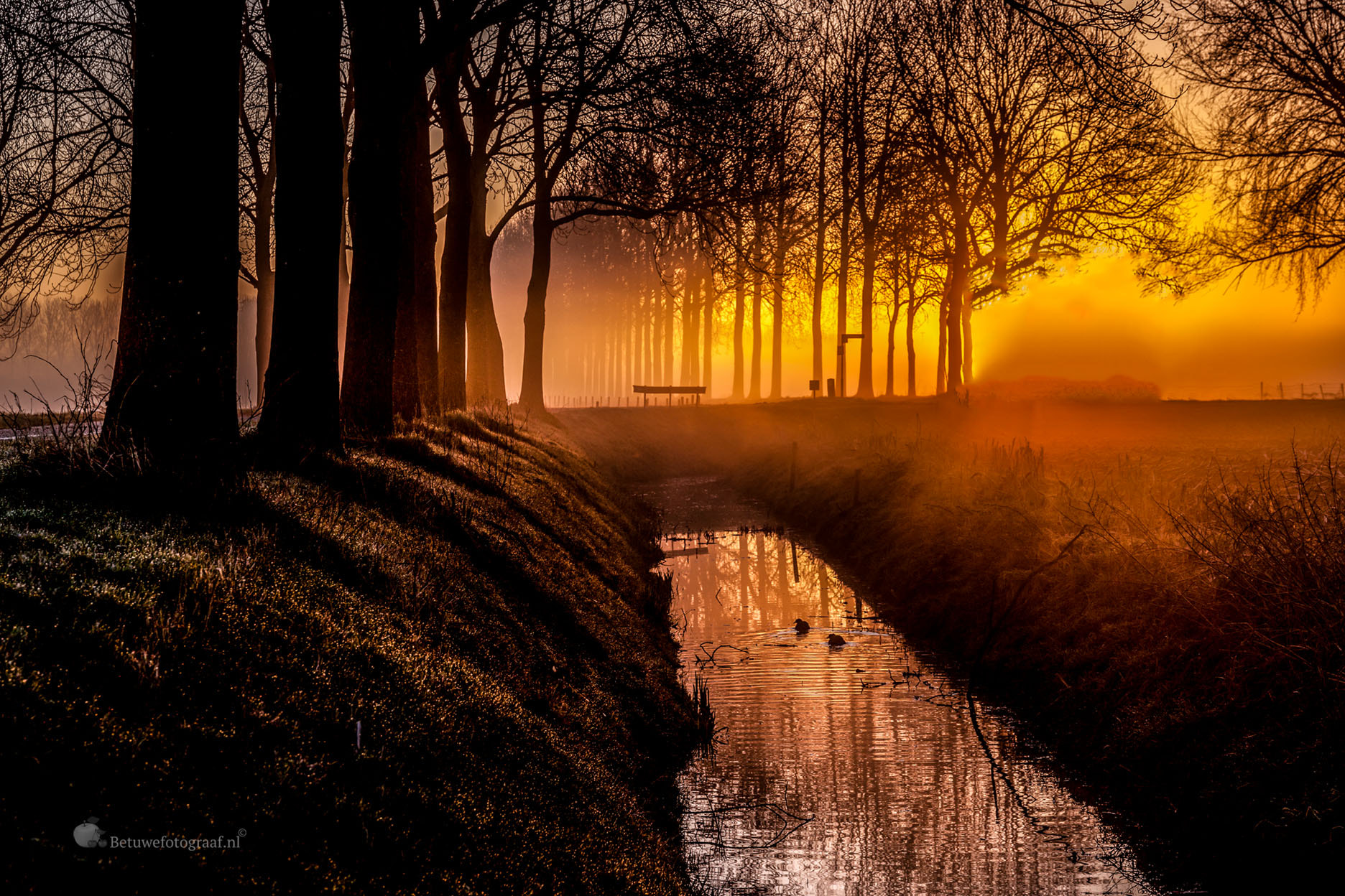 Canon EOS 5D Mark II + Sigma 24-105mm f/4 DG OS HSM | A sample photo. Dutch dawn....vii photography