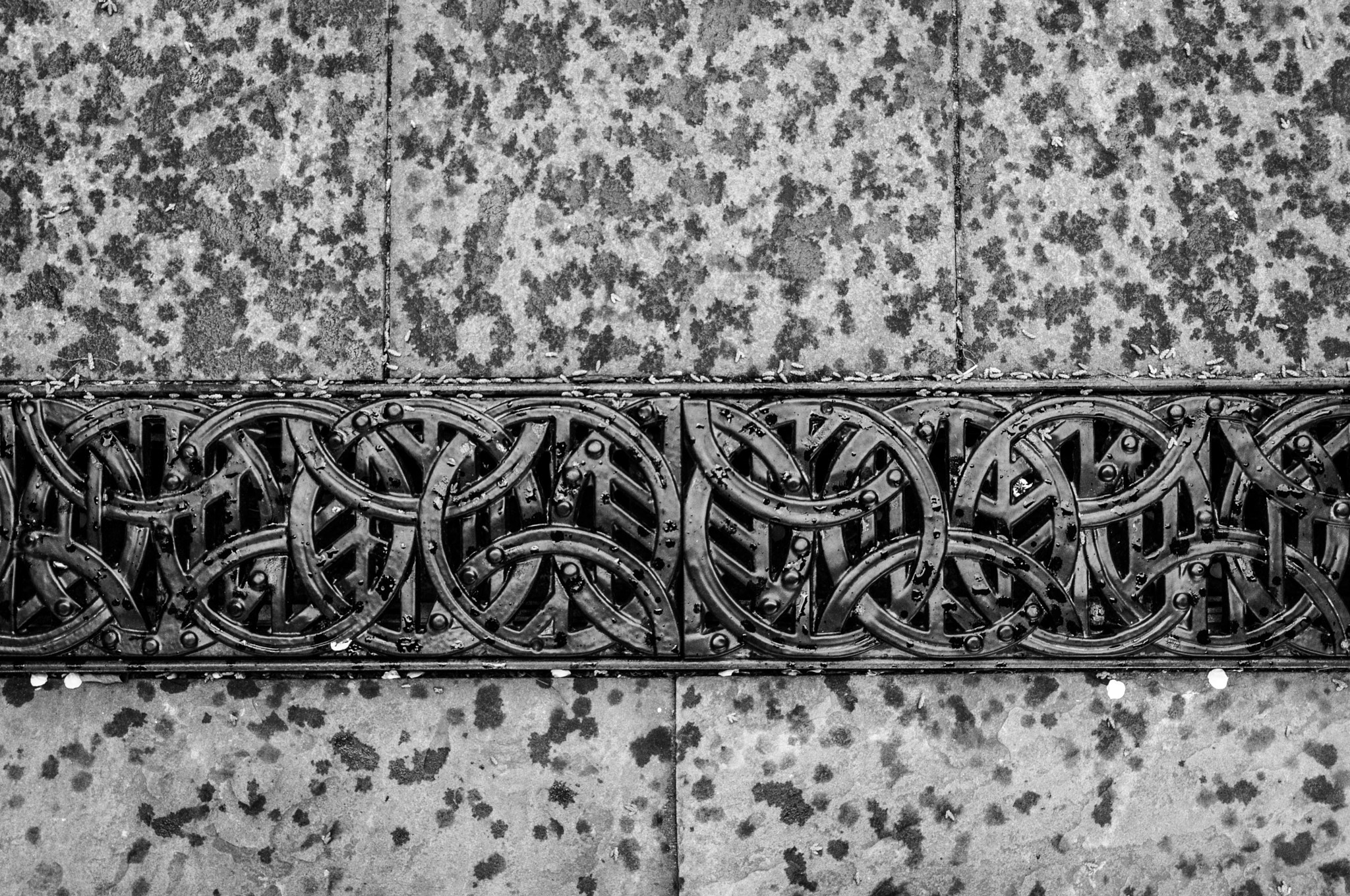 Nikon D300 sample photo. Grate photography