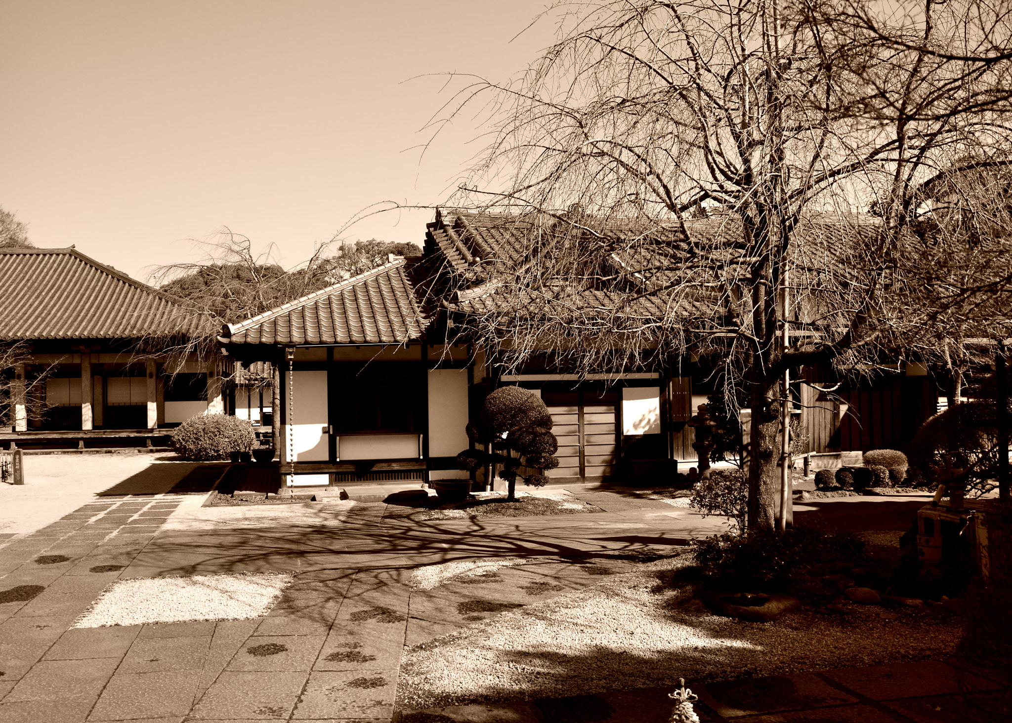 Sigma 18-200mm F3.5-6.3 DC OS HSM sample photo. Yanaka photography