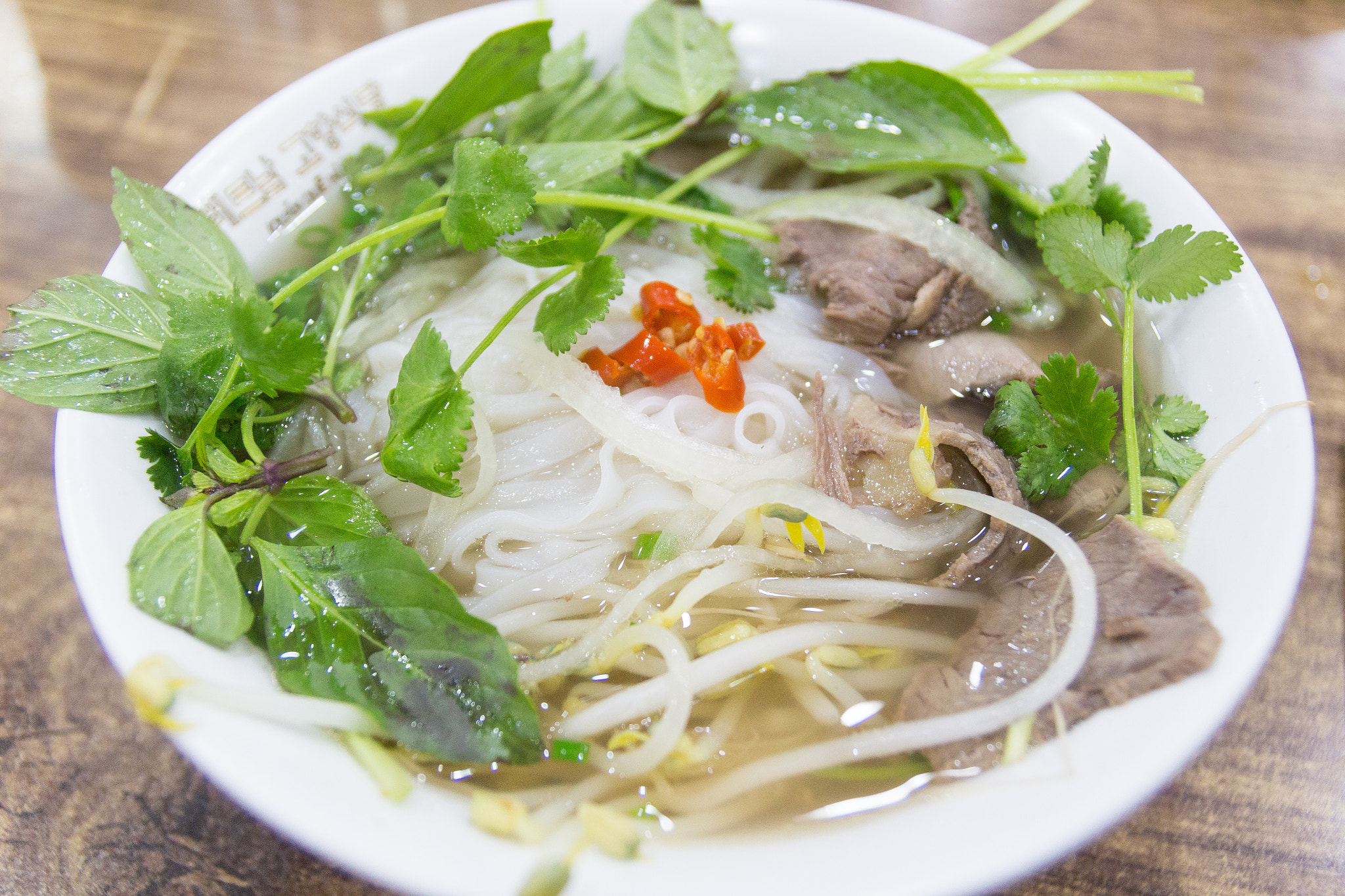 Tamron SP AF 17-50mm F2.8 XR Di II LD Aspherical (IF) sample photo. Vietamese beef noodles. photography
