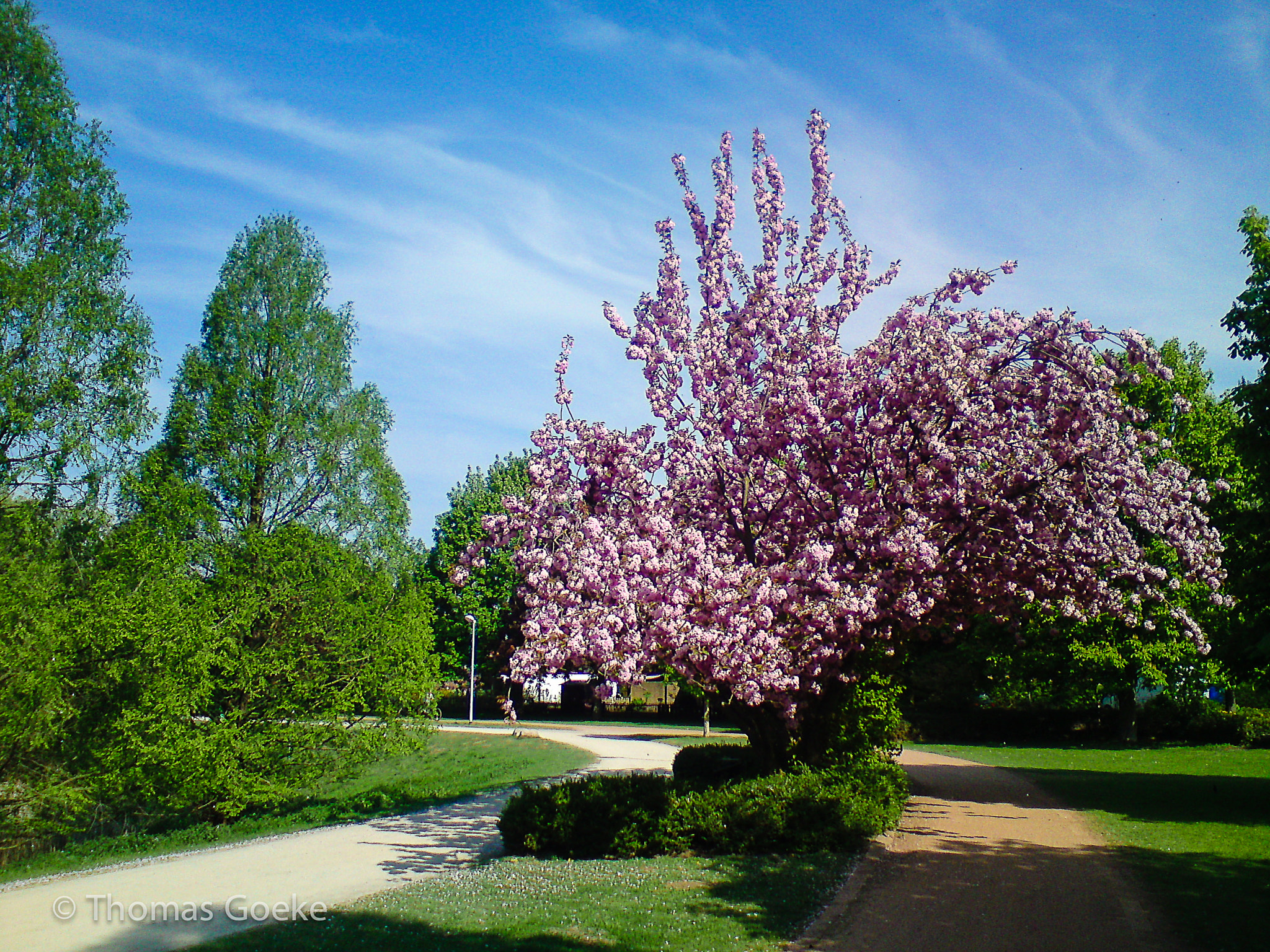 Sony Ericsson W995 sample photo