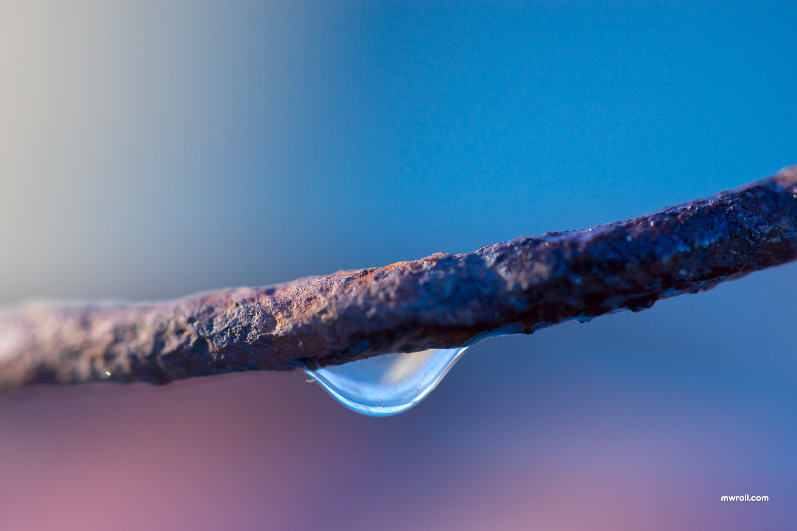 Sony a7 sample photo