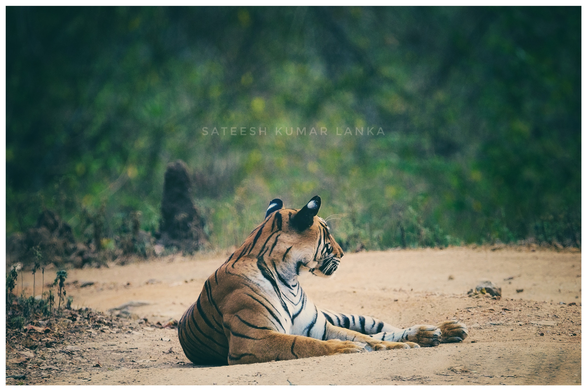 Nikon D810 sample photo. || waiting for perry || photography