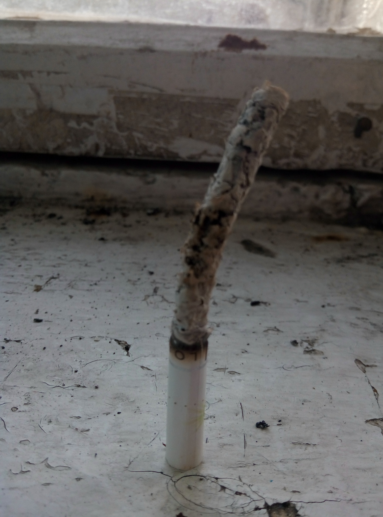 Meizu m2 sample photo. ������������������������������� photography