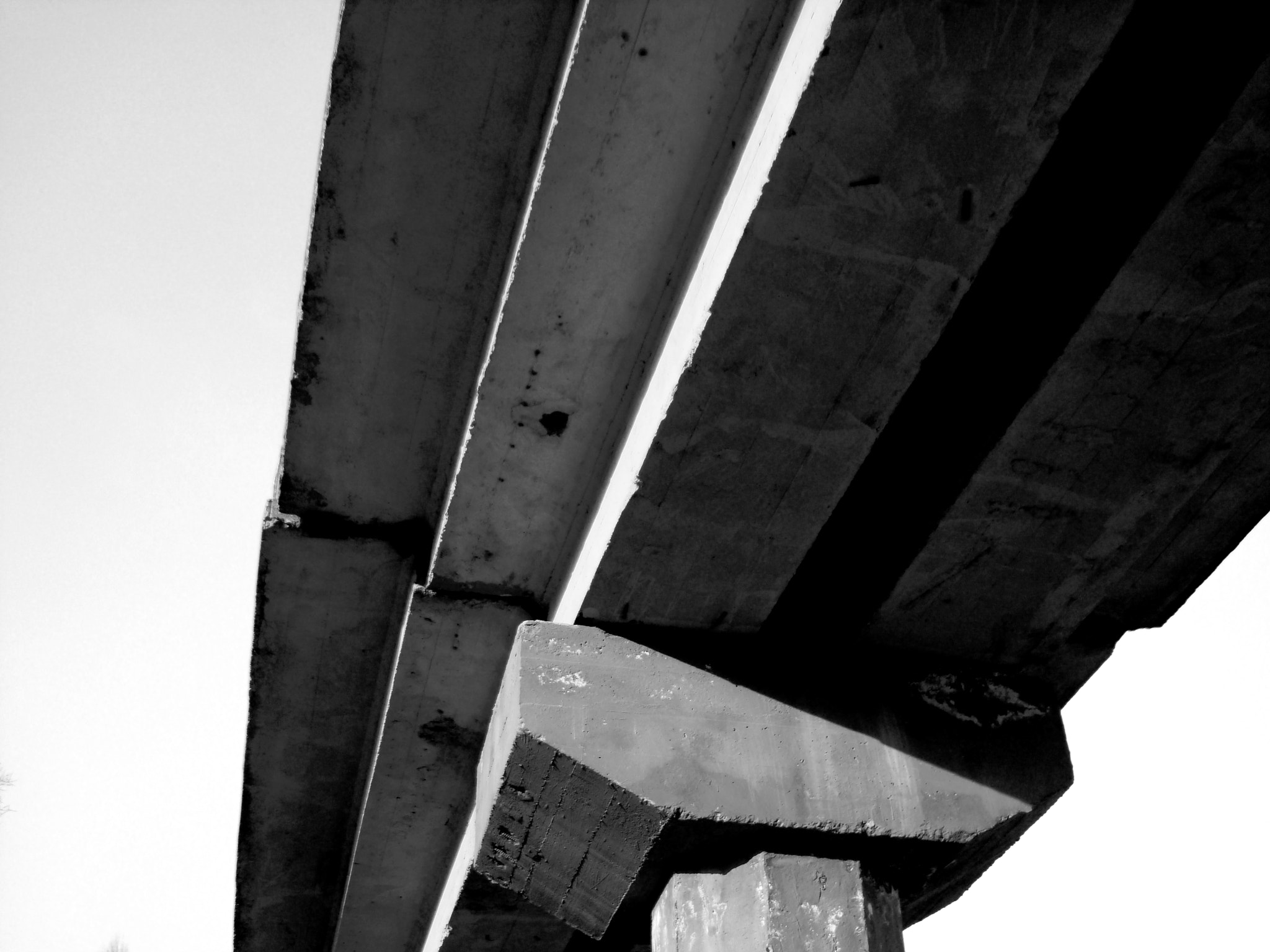 Sony DSC-W200 sample photo. Black and white bridge photography