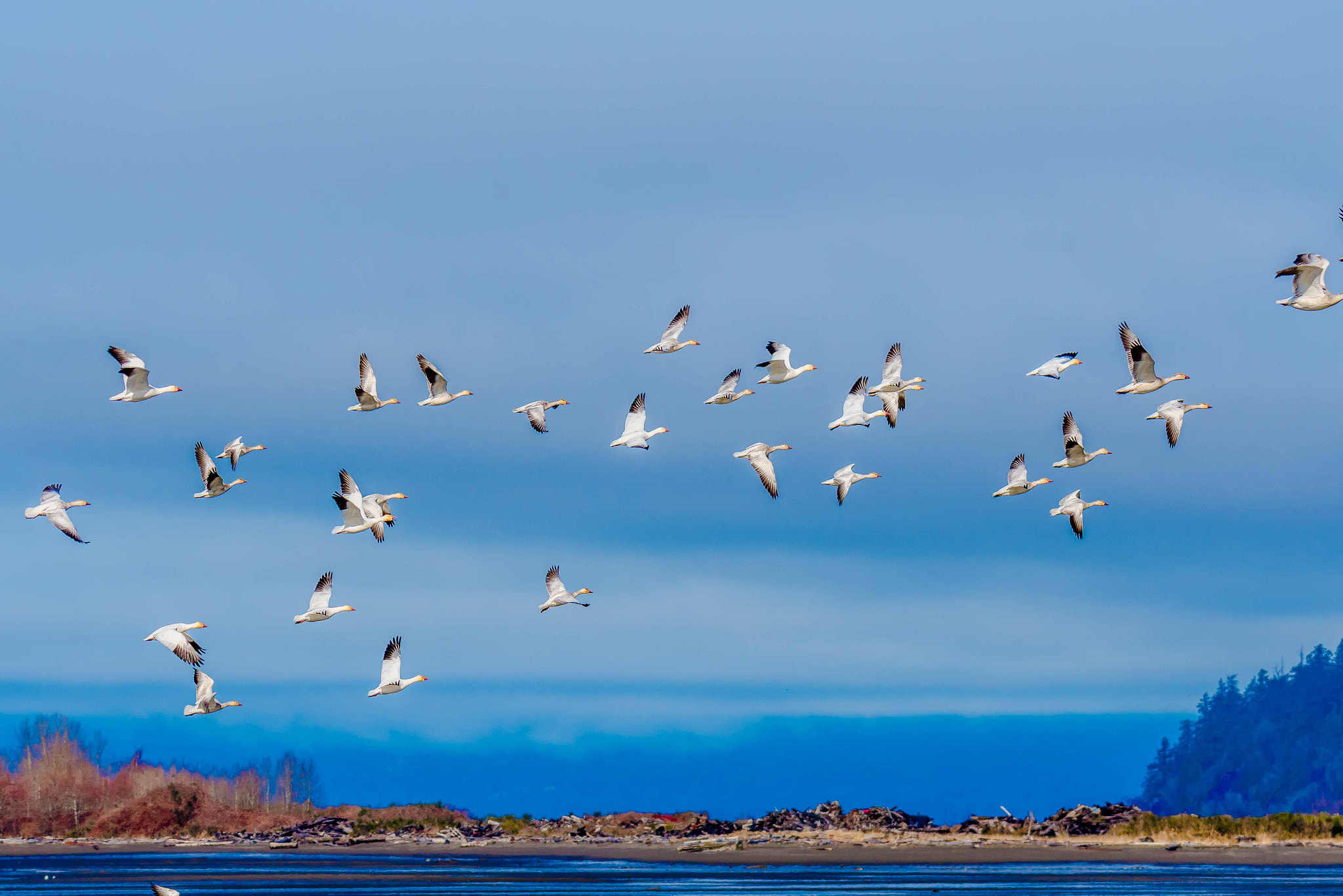 Sigma 150-600mm F5-6.3 DG OS HSM | S sample photo. Dsc photography