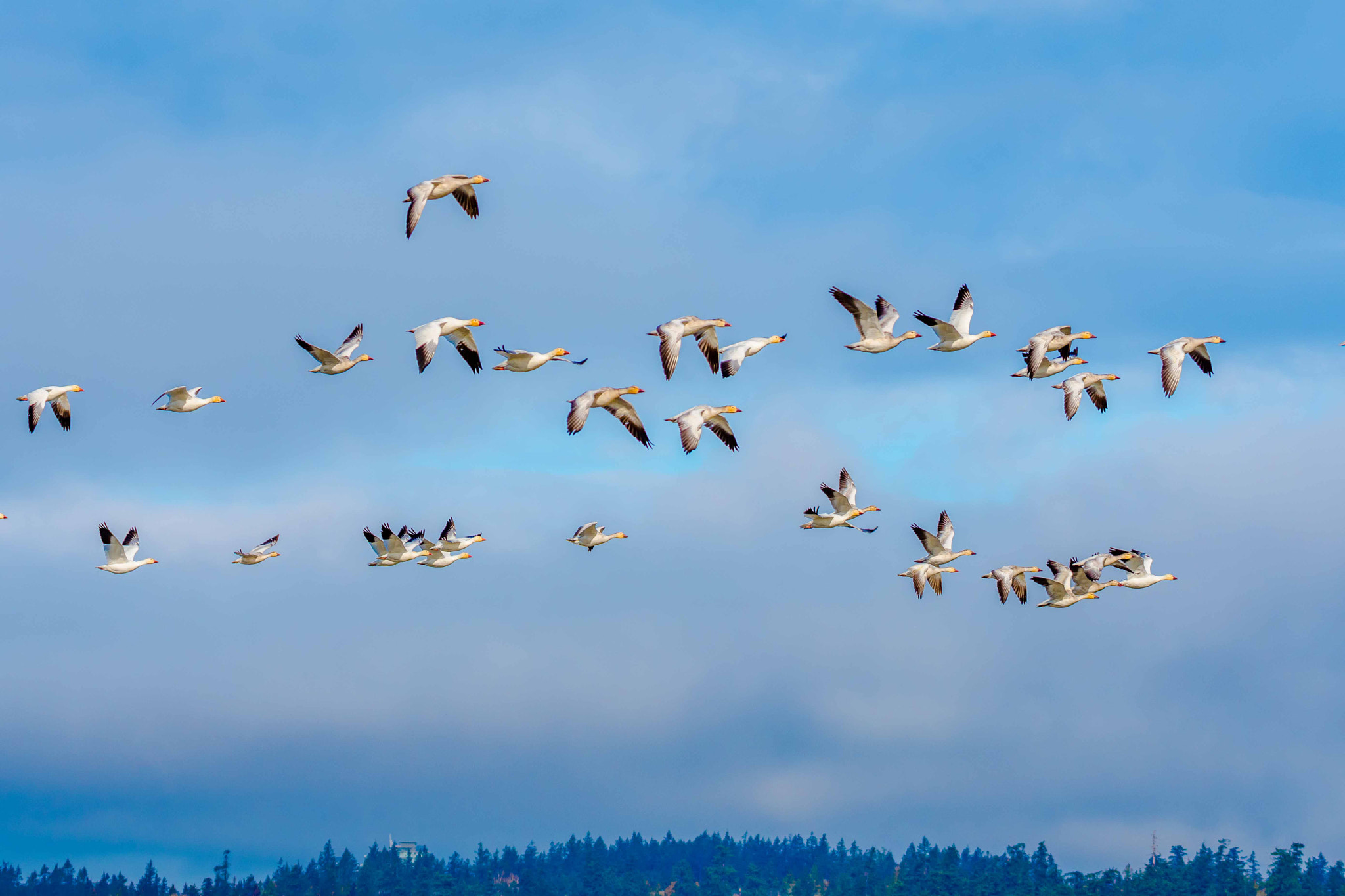 Sigma 150-600mm F5-6.3 DG OS HSM | S sample photo. Dsc photography