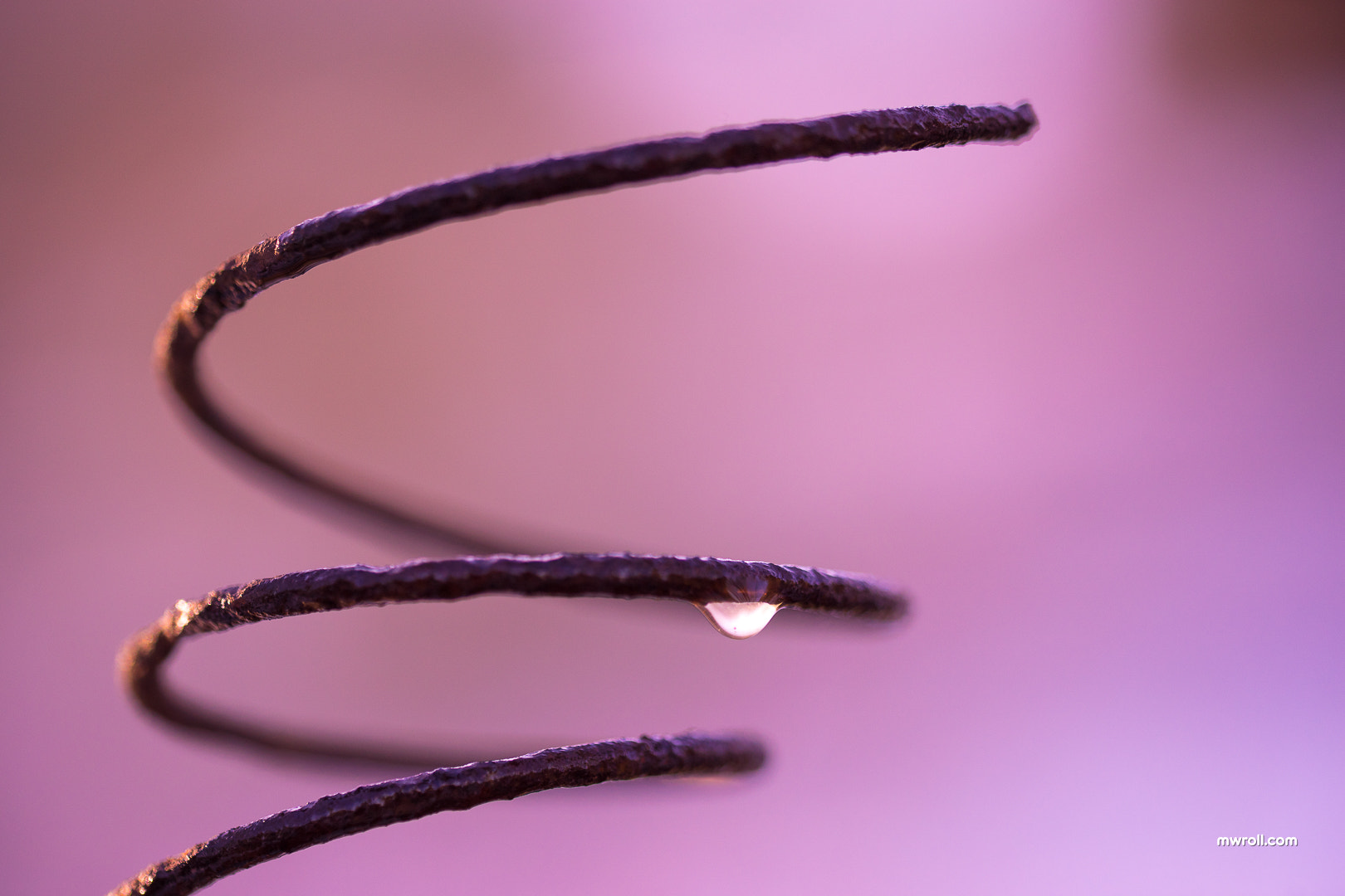 Sony a7 sample photo