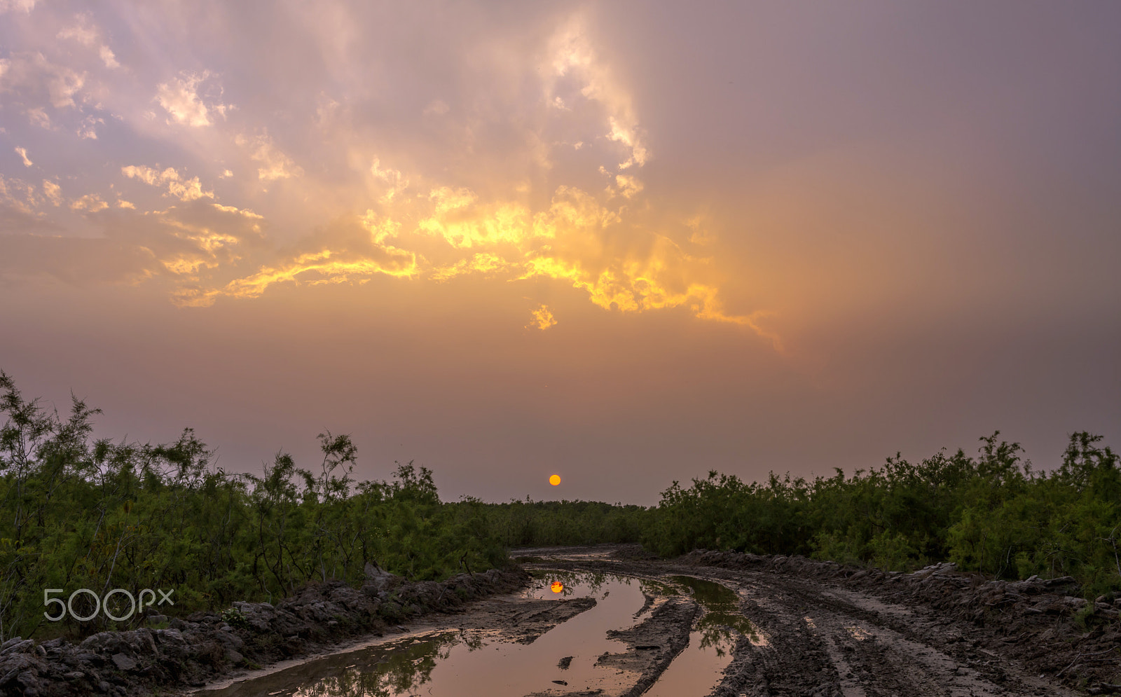 Nikon D7200 sample photo. Reflection of sun photography