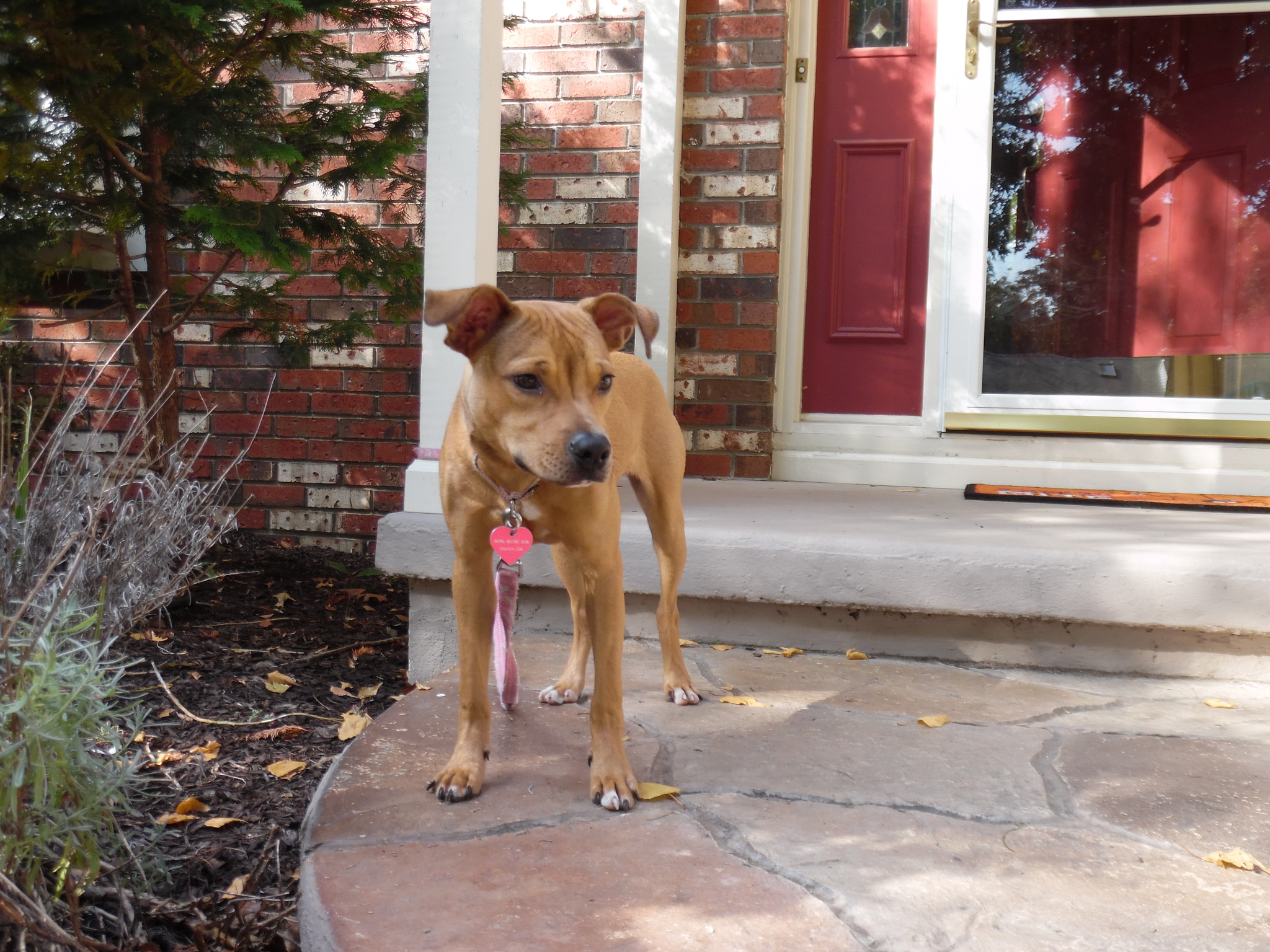 Samsung WB35F/WB36F/WB37F sample photo