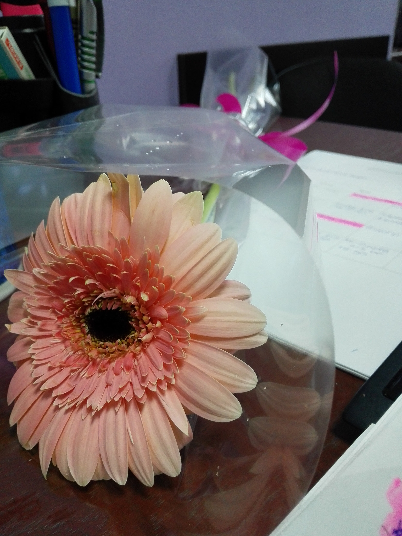 HUAWEI P7-L10 sample photo. Flower in office. photography
