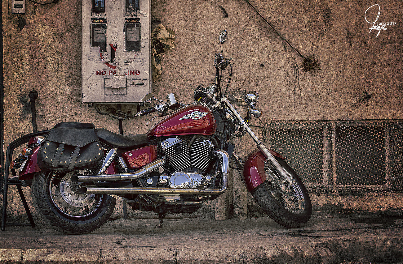 Canon EF 70-200mm F2.8L IS II USM sample photo. Shadow photography