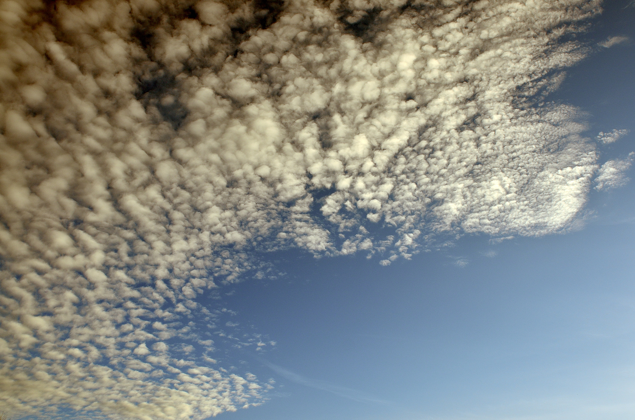 Nikon AF-S Nikkor 24-70mm F2.8G ED sample photo. Cloudy and clear photography