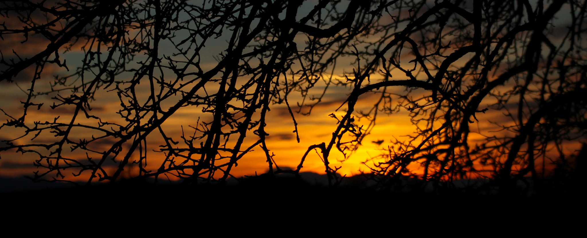 Tamron SP 35mm F1.8 Di VC USD sample photo. Sunset_02 photography