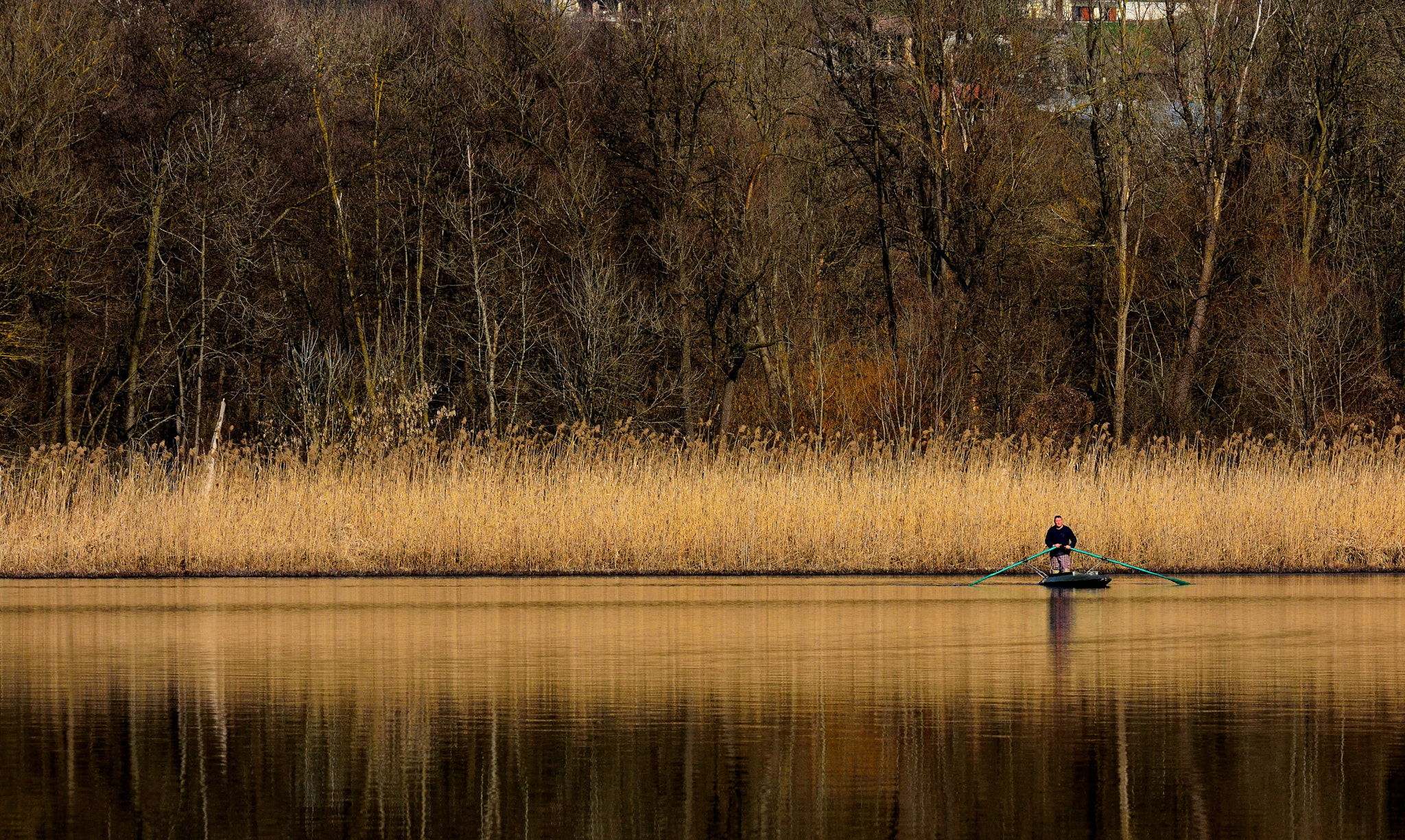 Sigma 150-500mm F5-6.3 DG OS HSM sample photo. Barcatt photography