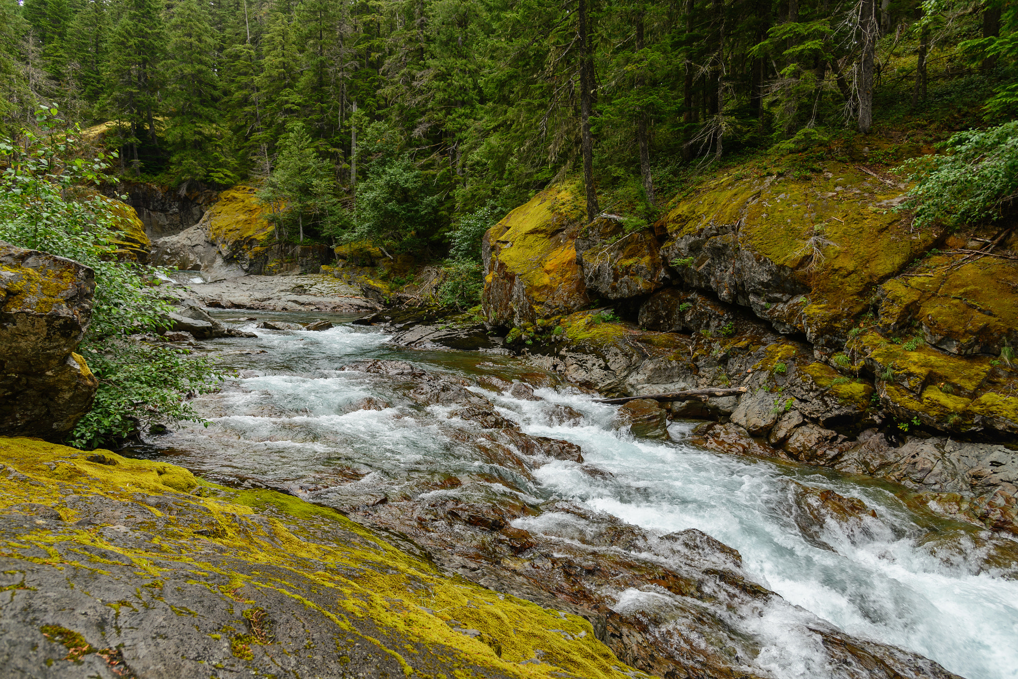Nikon AF-S Nikkor 24-120mm F4G ED VR sample photo. Ohanapecosh river and forest, mount rainier np photography