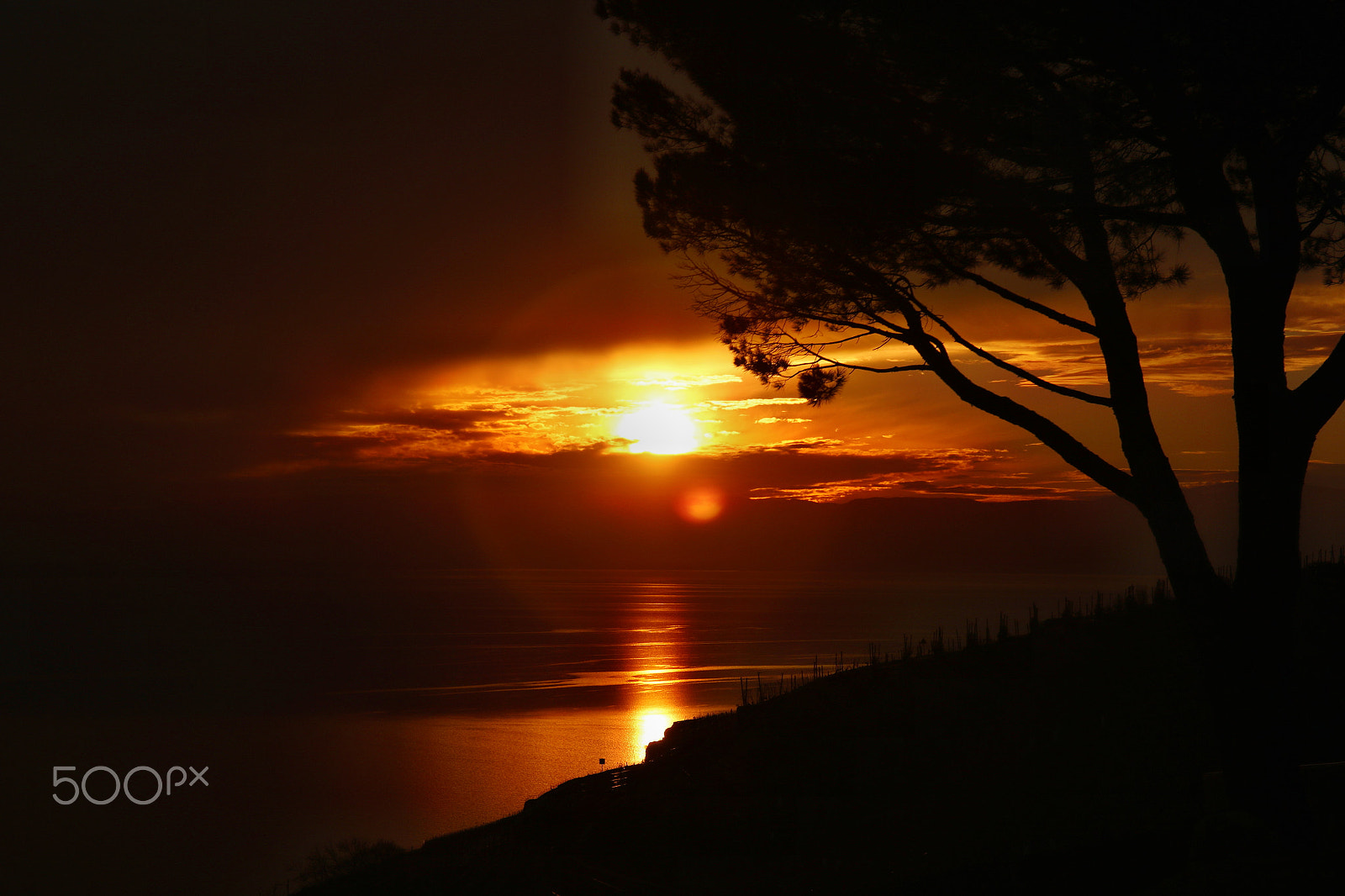 Sigma 17-70mm F2.8-4 DC Macro OS HSM sample photo. Sunset on léman's lake by willie b photography