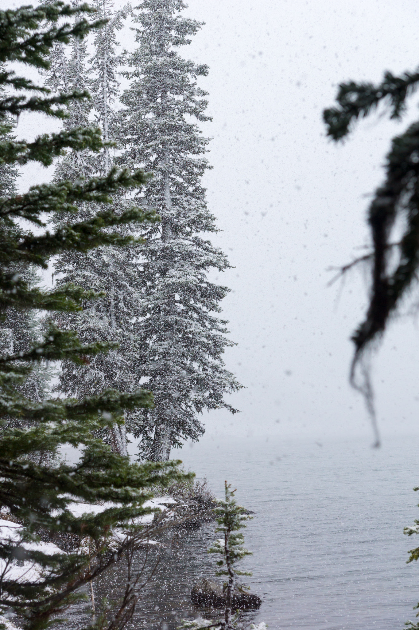 Sony SLT-A77 sample photo. Rawsons lake photography