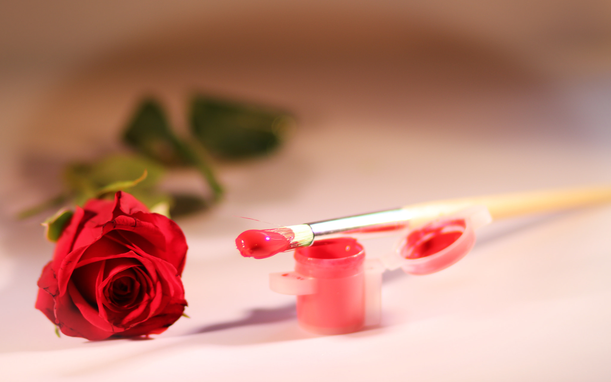 Canon EOS 80D + Canon EF 85mm F1.8 USM sample photo. Red rose photography