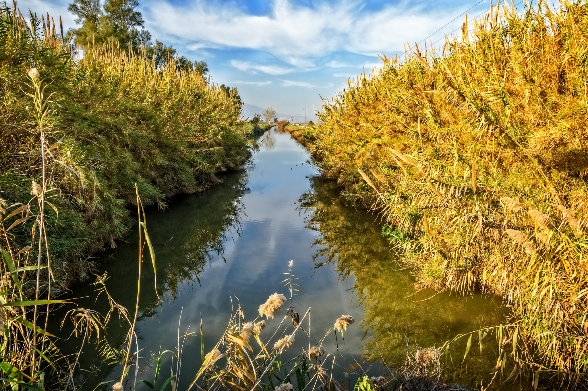 Nikon D5500 sample photo. River... photography