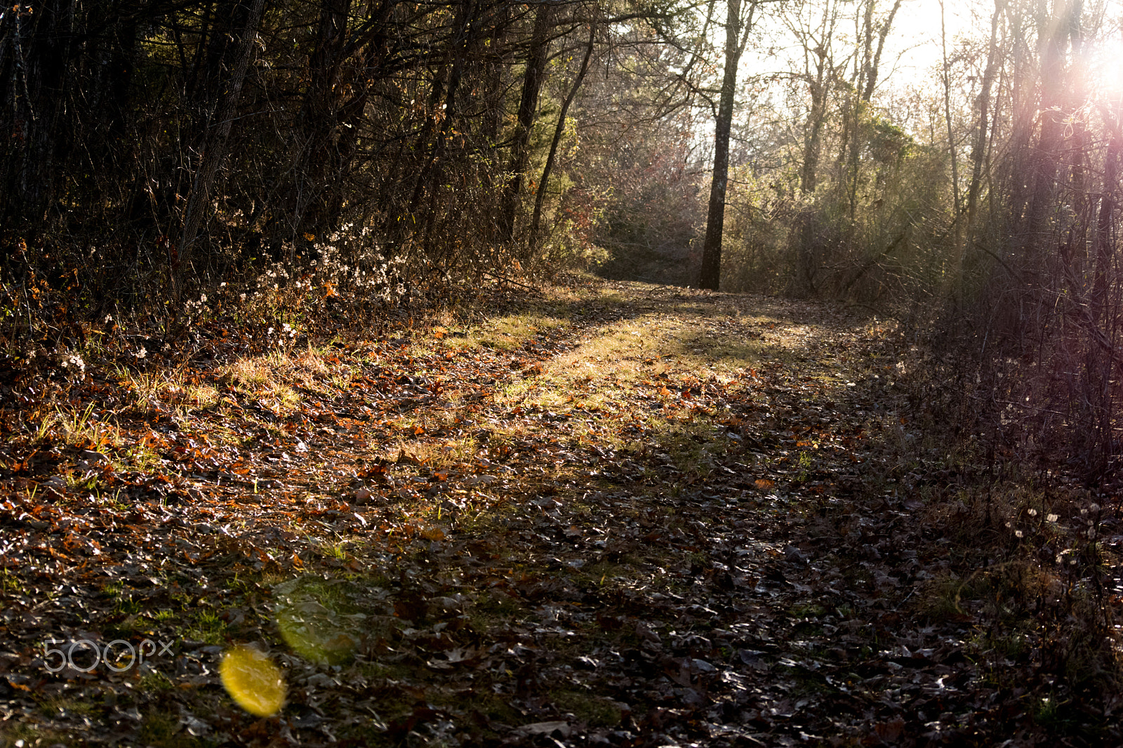 Nikon D5500 sample photo. Fall in the narrows photography
