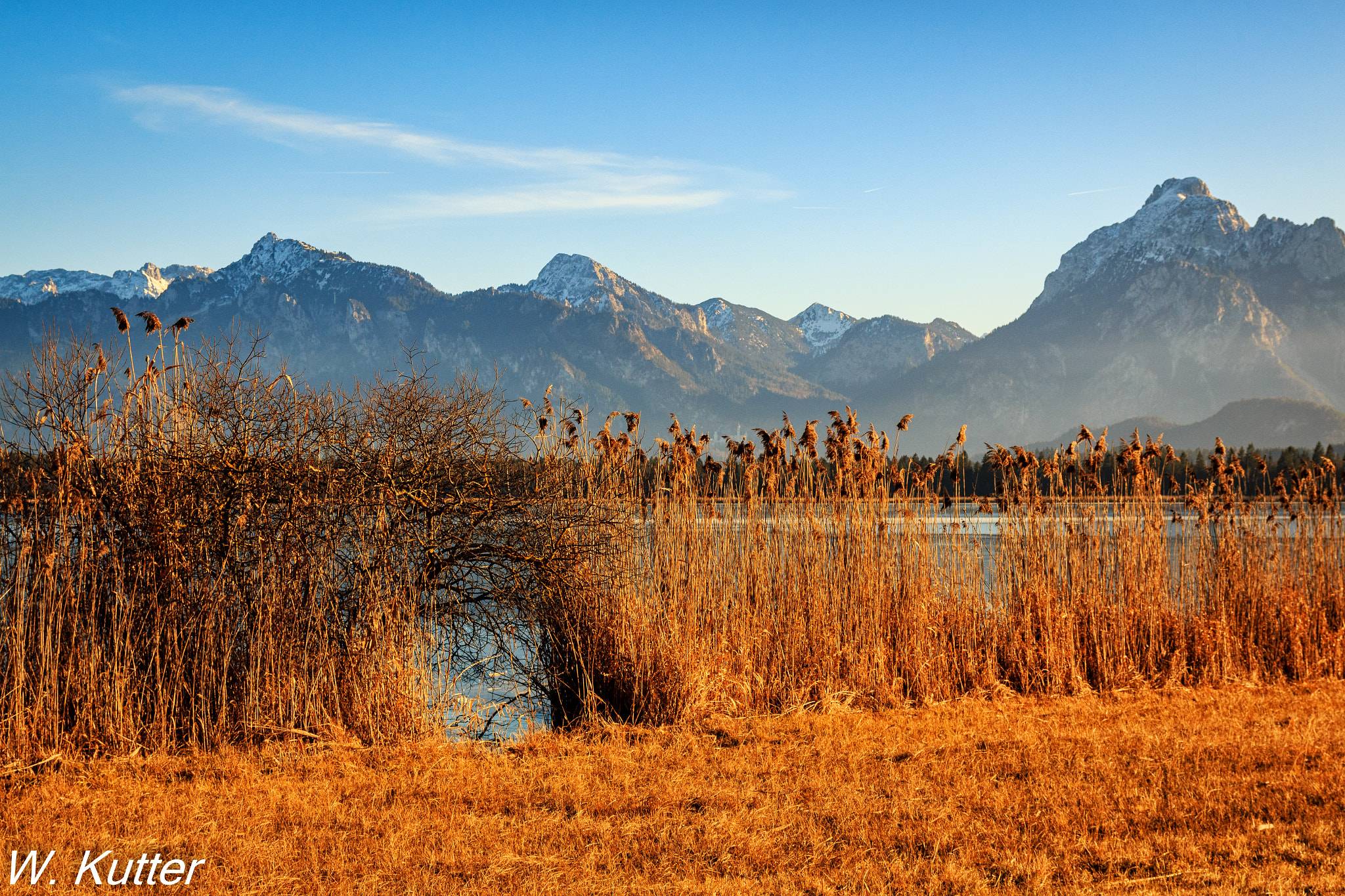 Canon EOS 70D sample photo. The reed, the lake and the alps... photography
