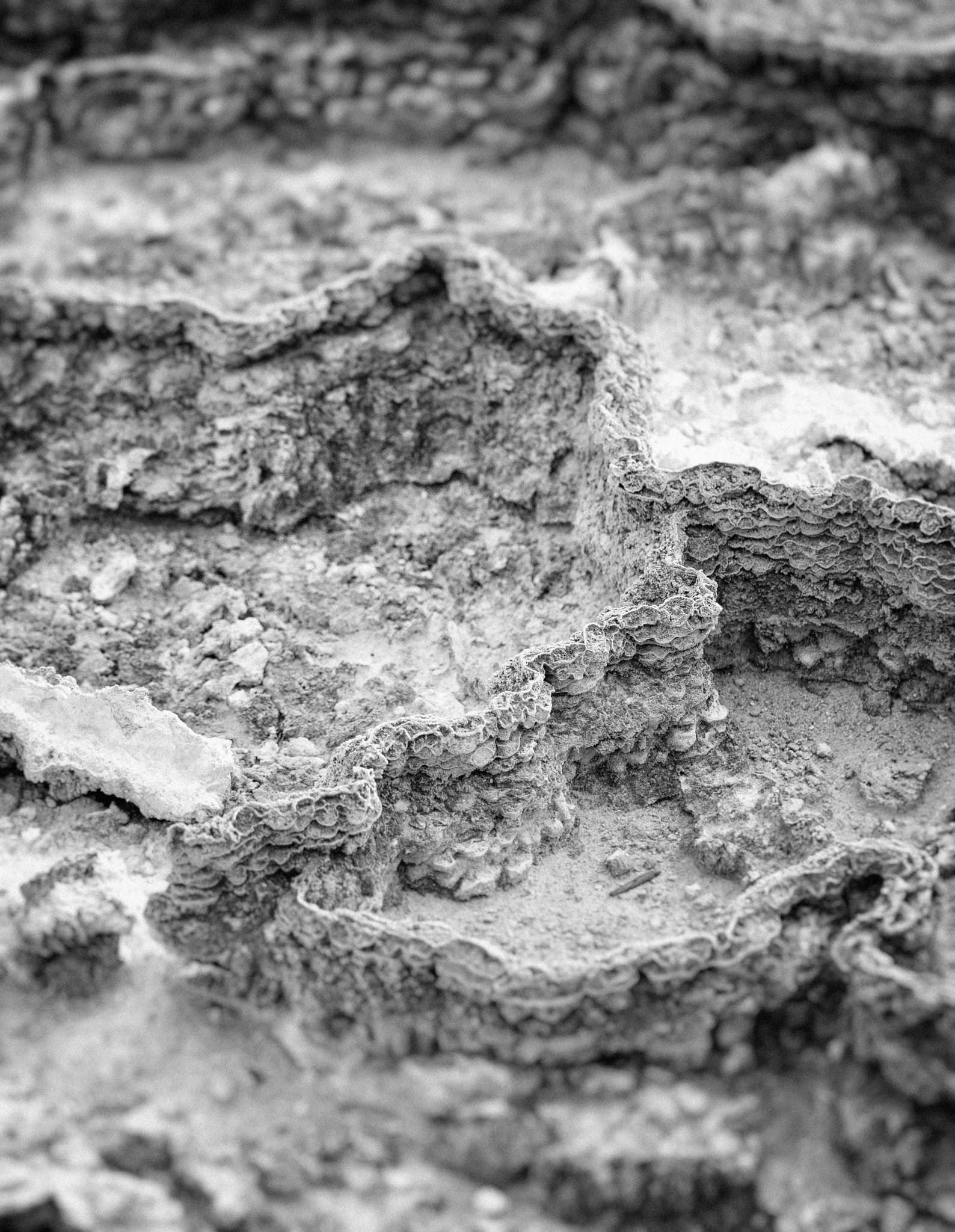Sigma 150mm F2.8 EX DG Macro HSM sample photo. Crust formation photography