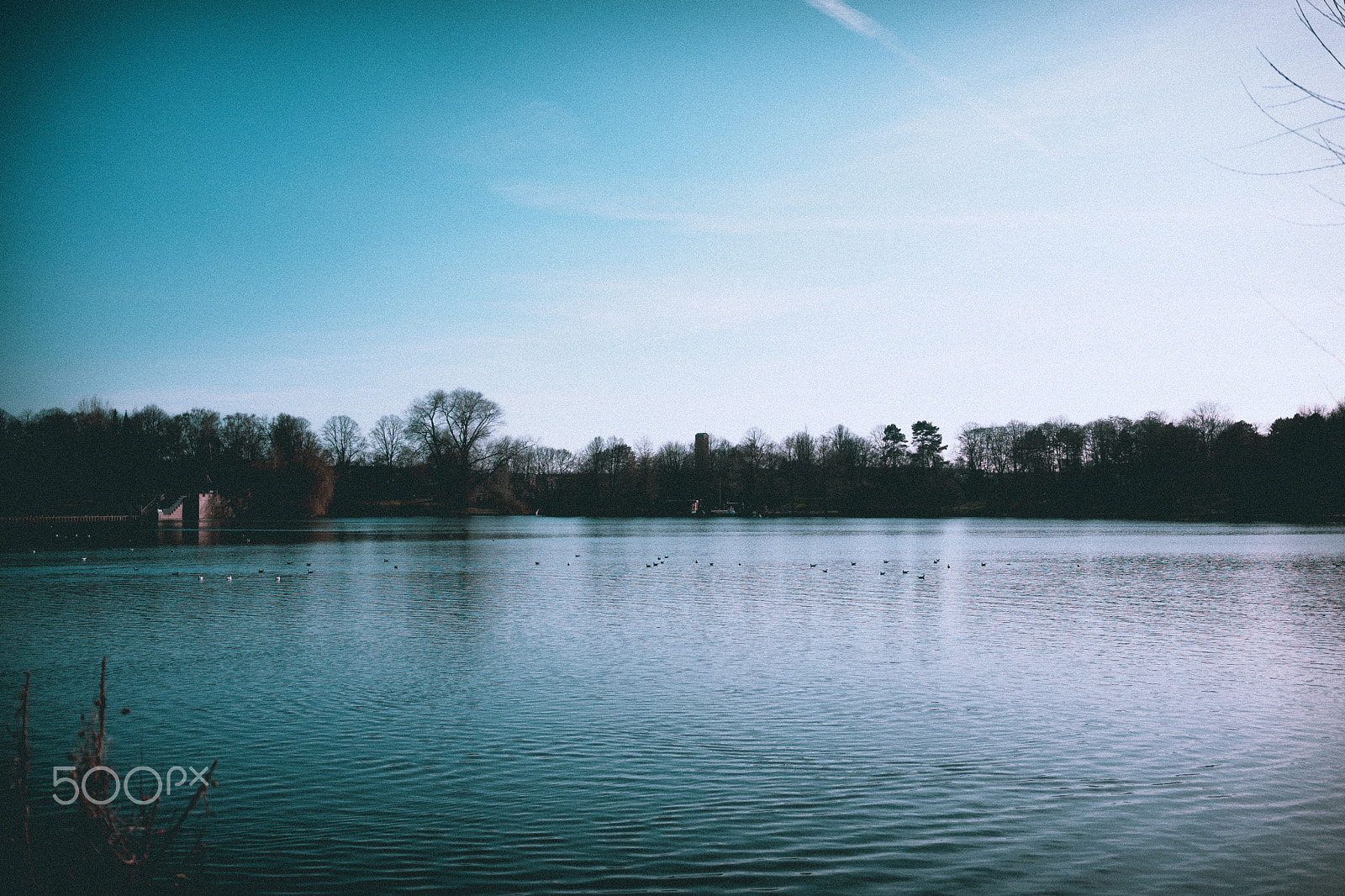Sony a7 + Sony Sonnar T* FE 35mm F2.8 ZA sample photo. Anna photography