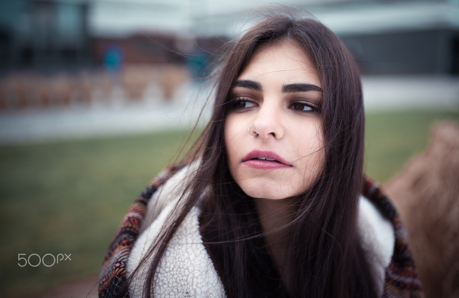 Nikon D600 + Sigma 35mm F1.4 DG HSM Art sample photo. Carried by the wind photography