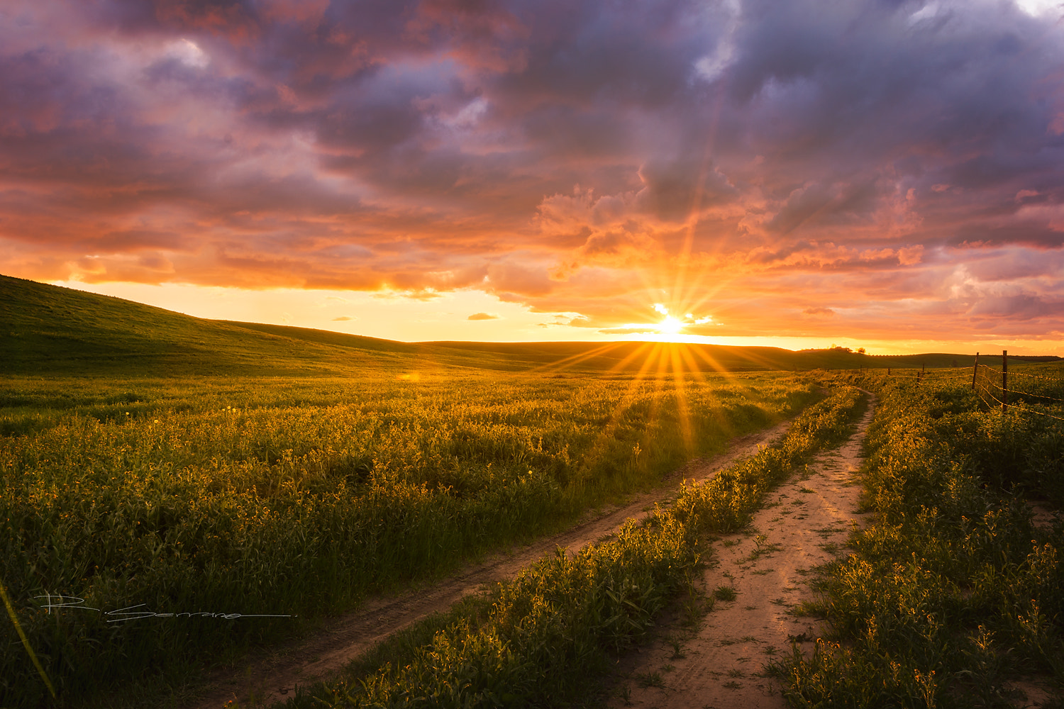 Nikon D7200 + Sigma 18-35mm F1.8 DC HSM Art sample photo. Back road. photography