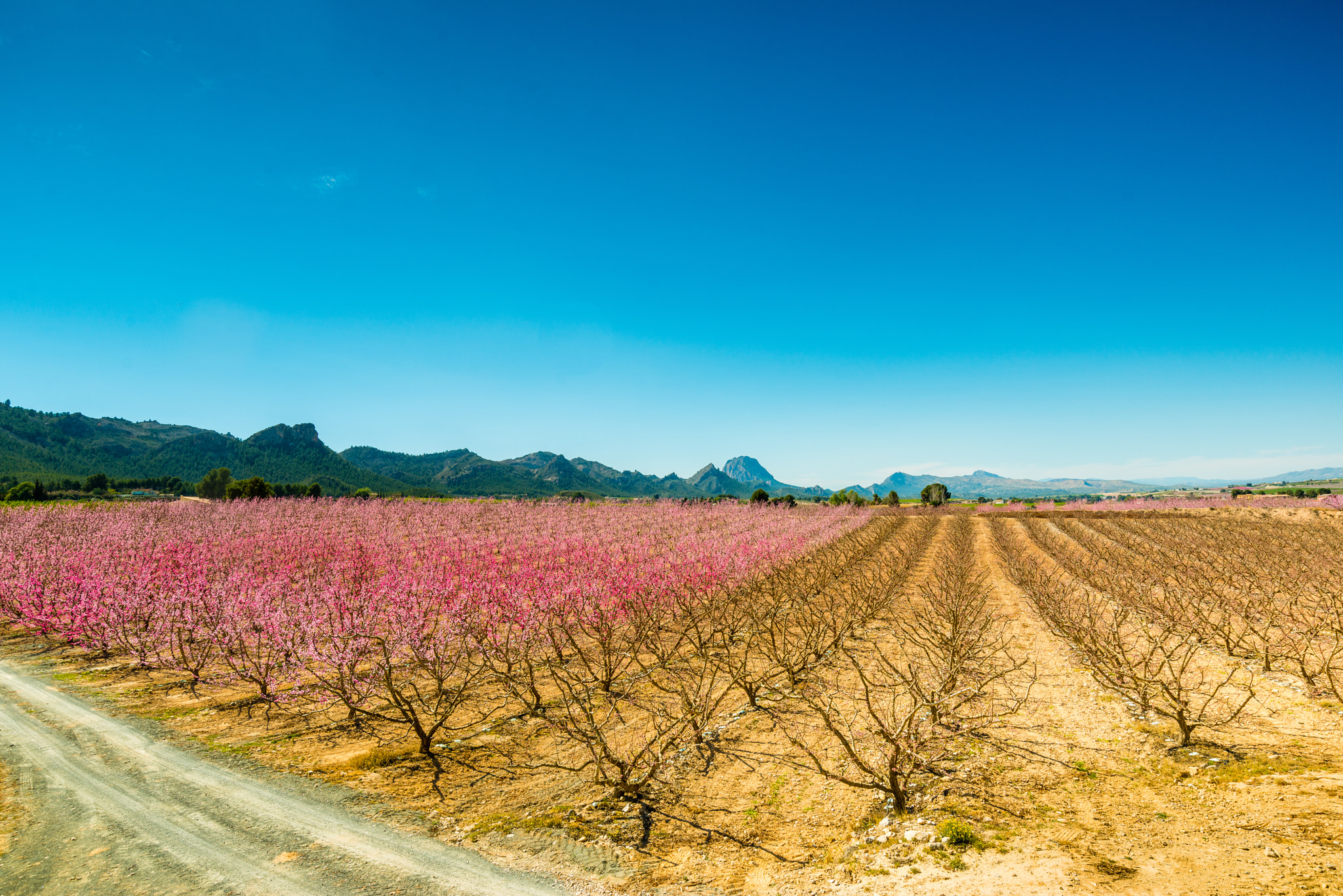 Nikon D800 + Nikon AF-S Nikkor 18-35mm F3.5-4.5G ED sample photo. Cieza 1 photography