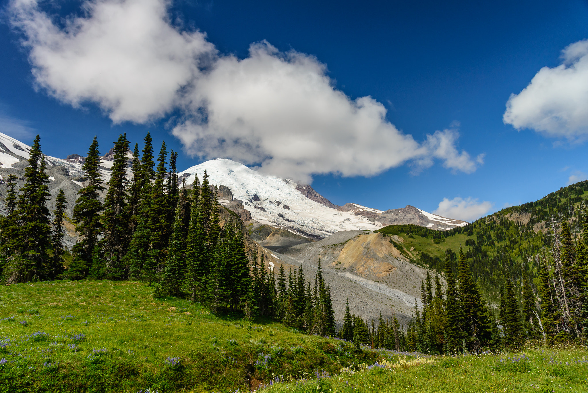 Nikon AF-S Nikkor 24-120mm F4G ED VR sample photo. Meadow, glacier, forest and mount rainier photography