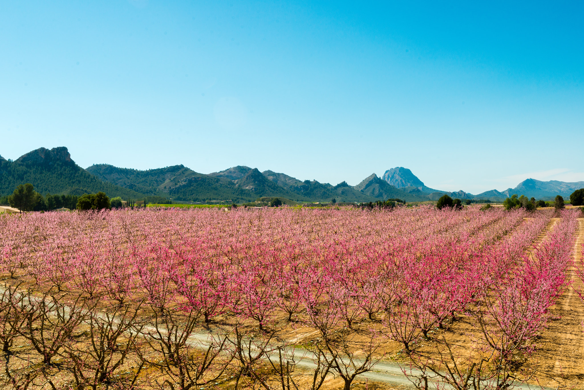 Nikon AF-S Nikkor 18-35mm F3.5-4.5G ED sample photo. Cieza 2 photography