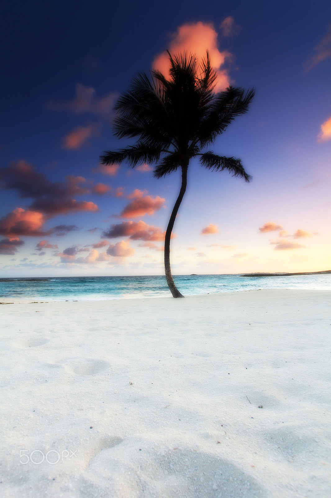 Canon EF-S 10-22mm F3.5-4.5 USM sample photo. Bahamas palm beach photography