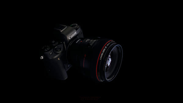 Canon EOS-1D X + Canon EF 40mm F2.8 STM sample photos - ExploreCams