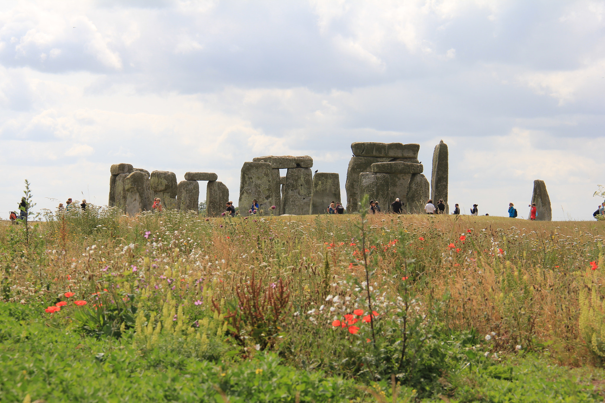 Canon EOS 550D (EOS Rebel T2i / EOS Kiss X4) + Canon EF-S 18-200mm F3.5-5.6 IS sample photo. Wild flowers in front of stonehenge photography