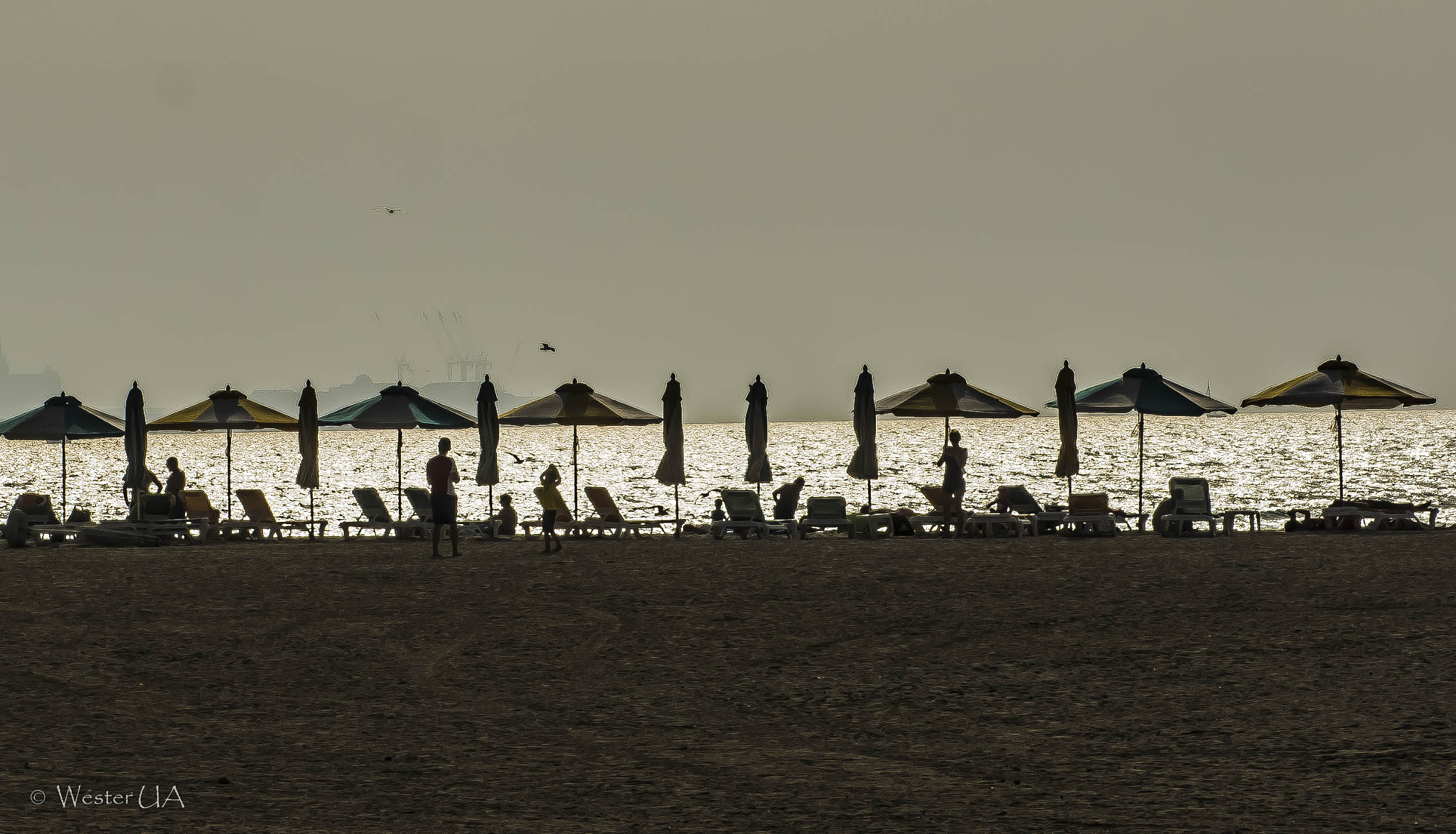 Nikon AF-S Nikkor 24-70mm F2.8G ED sample photo. The beach photography