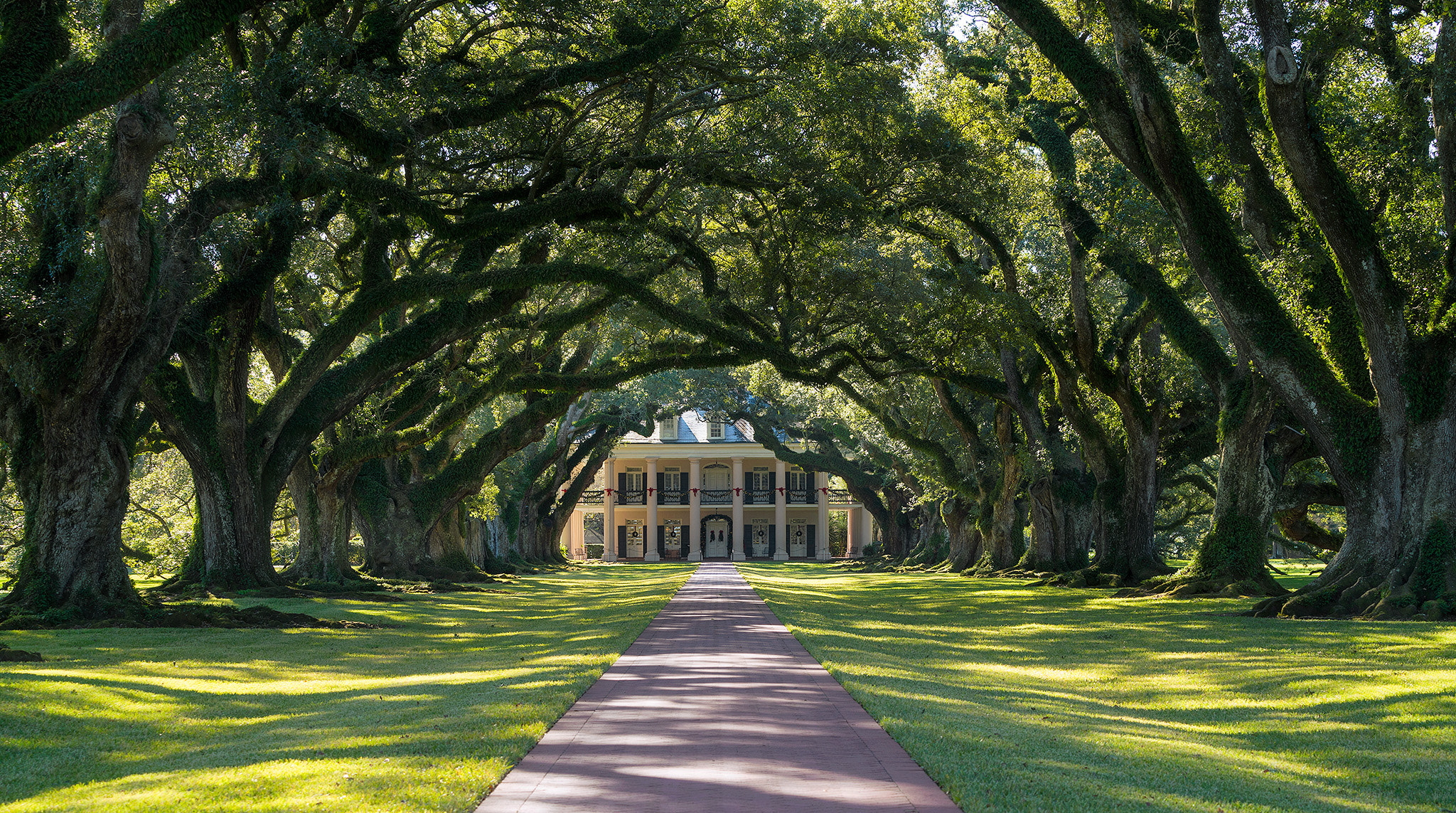 Sony a7R II + Sony FE 70-200mm F4 G OSS sample photo. Oak alley photography