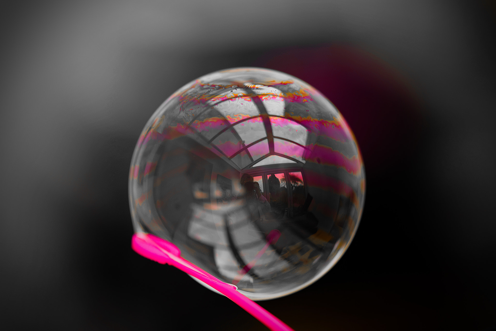 Sigma 105mm F2.8 EX DG OS HSM sample photo. A single bubble photography