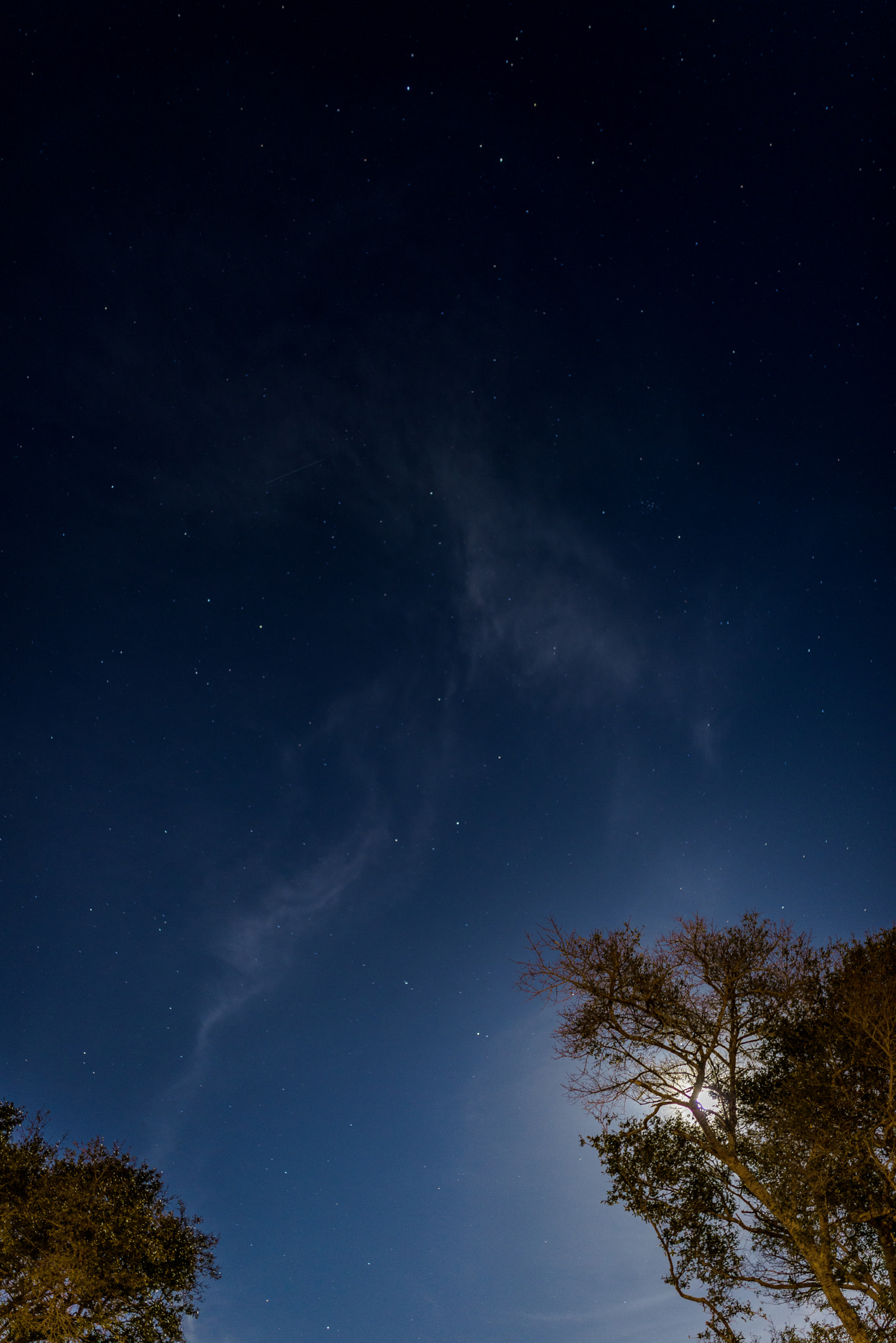 Nikon D810 + Sigma 35mm F1.4 DG HSM Art sample photo. Magical night sky photography