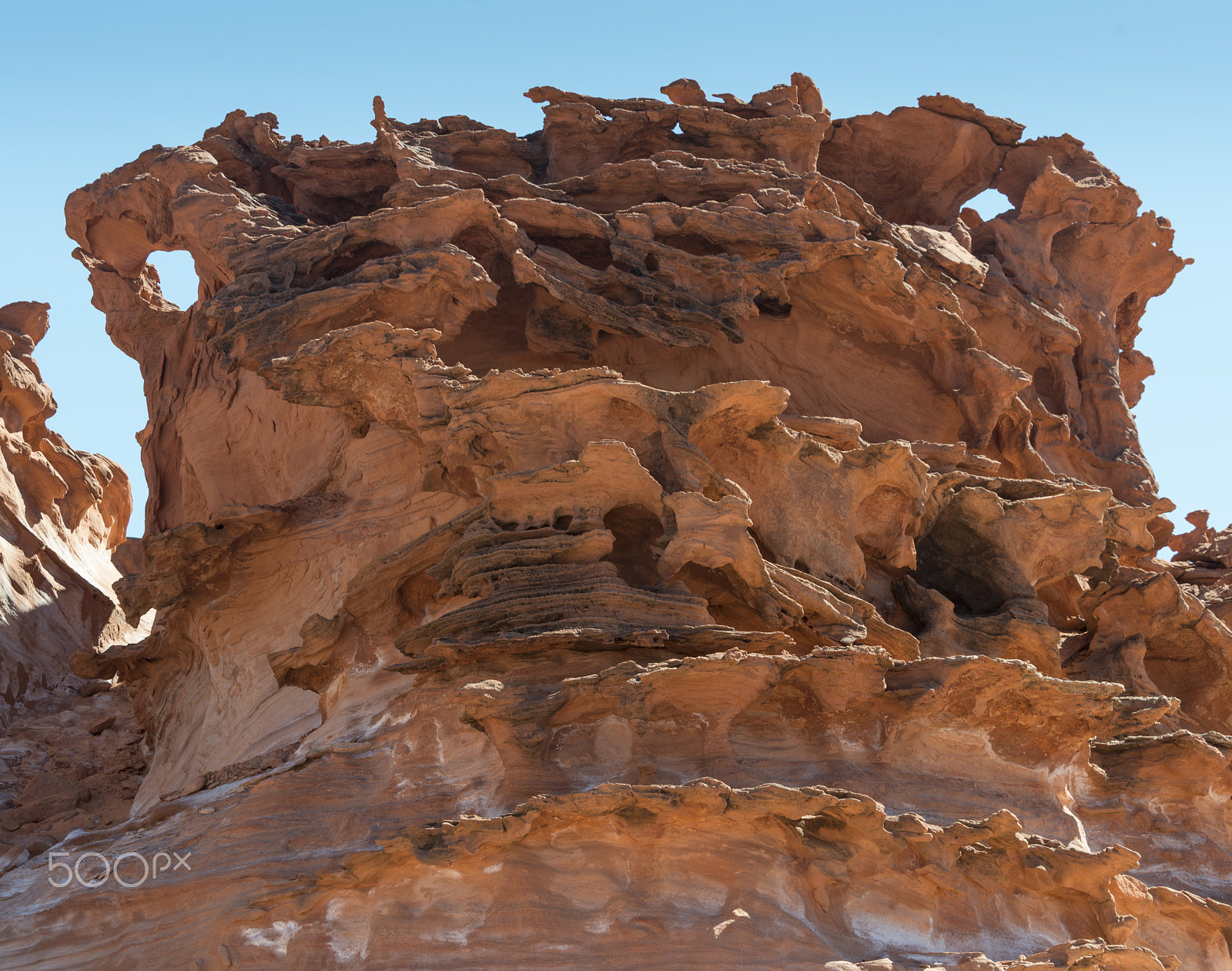 Nikon D800 sample photo. Desert sculptures photography