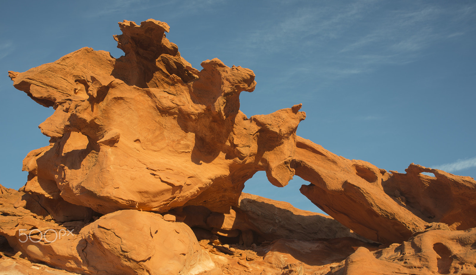 AF Zoom-Nikkor 28-105mm f/3.5-4.5D IF sample photo. Desert sculptures photography