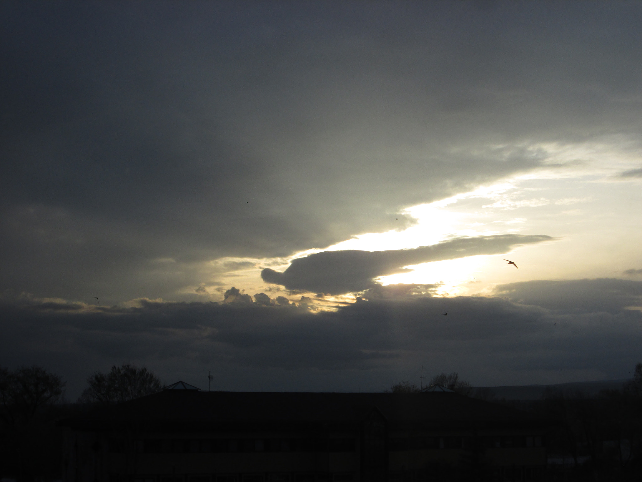 Canon PowerShot A1400 sample photo. Sundown #angel photography