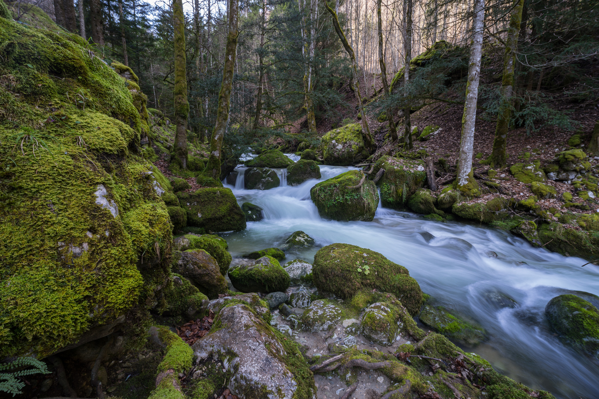 Sony a7 sample photo. Gorges de covatannaz photography